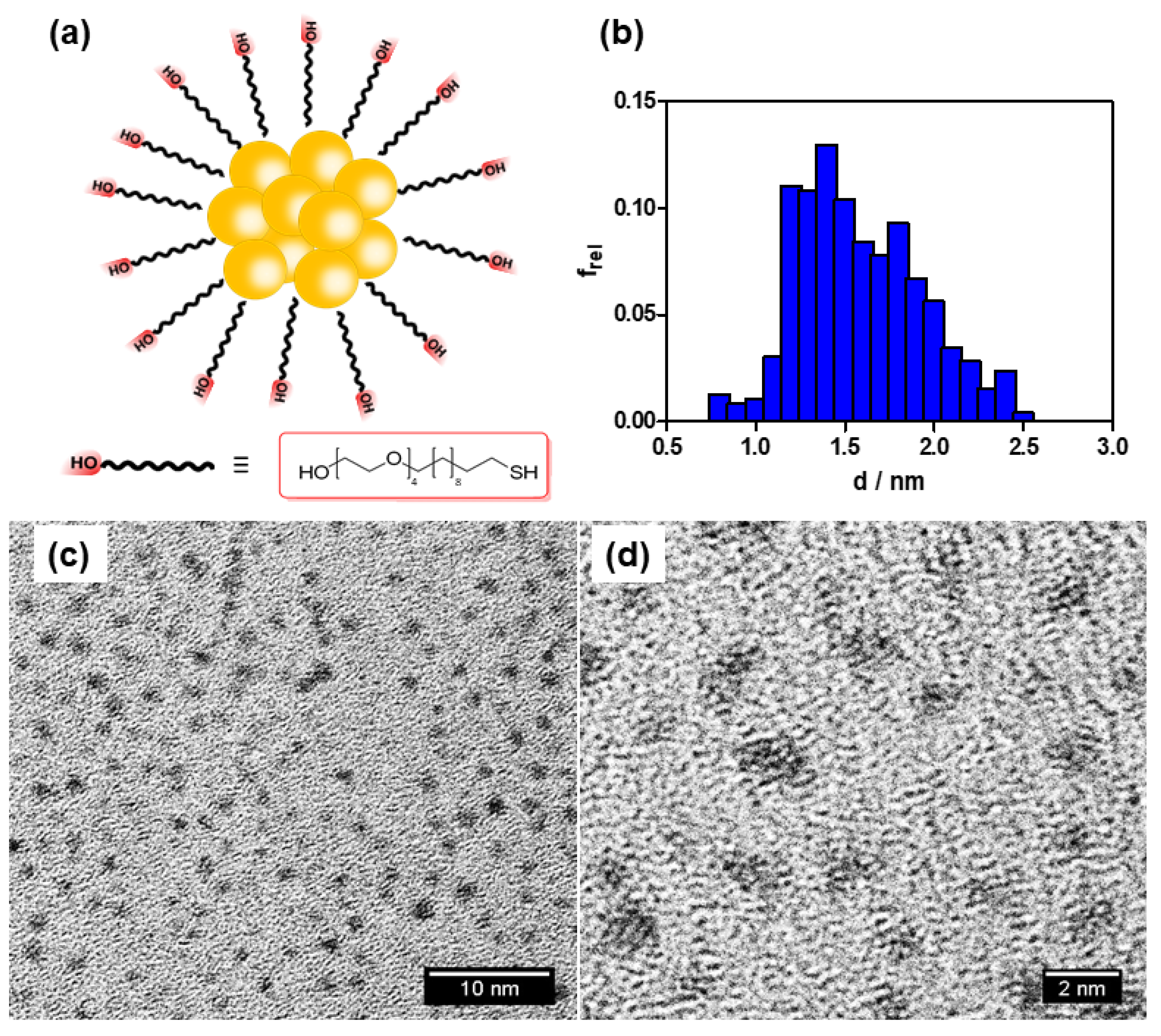 Nanomaterials 10 02474 g001 Nanomaterials 10 02474 g001