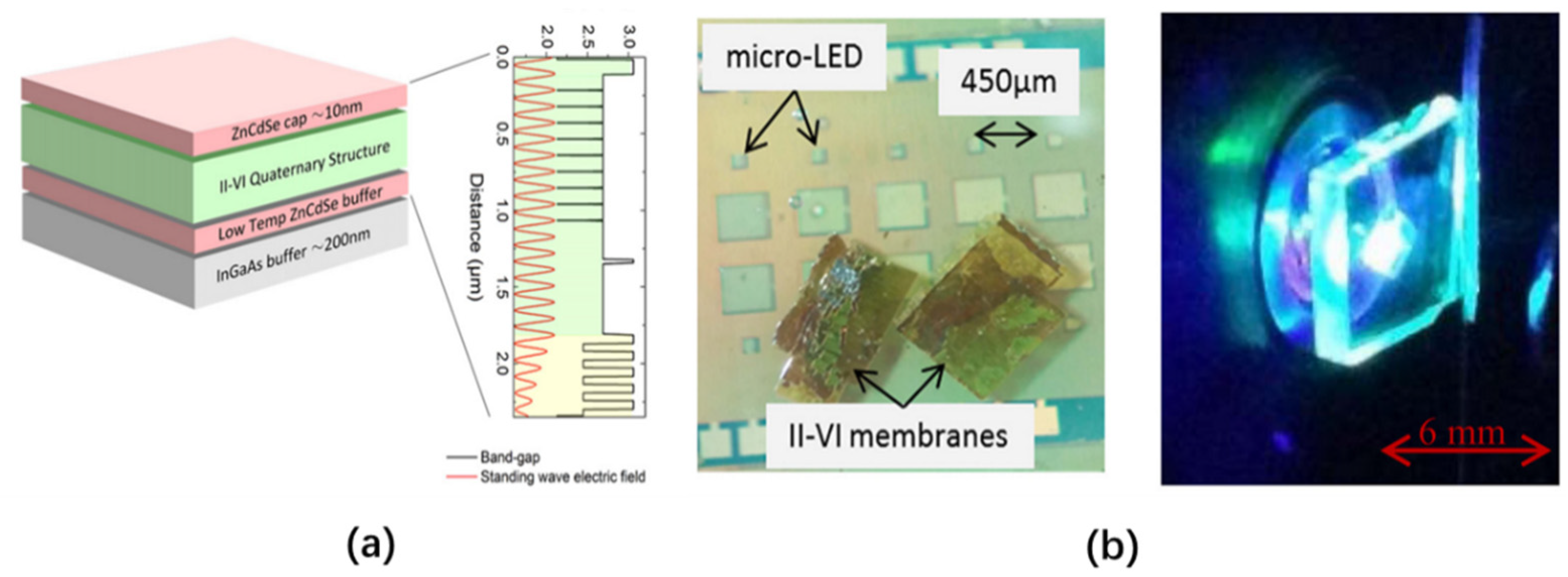 Nanomaterials 10 02482 g014 Nanomaterials 10 02482 g014