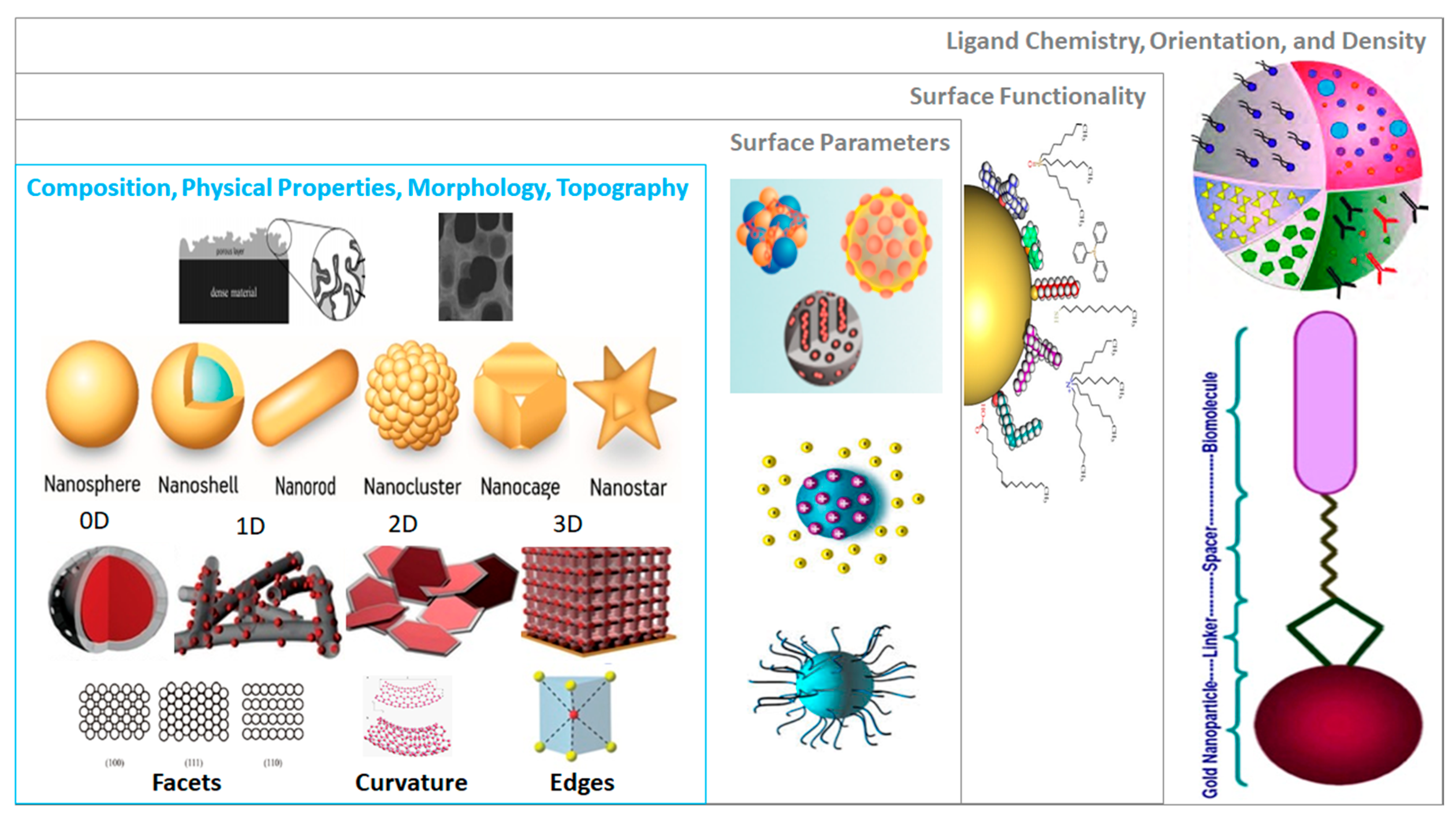 Nanomaterials 10 02493 g003