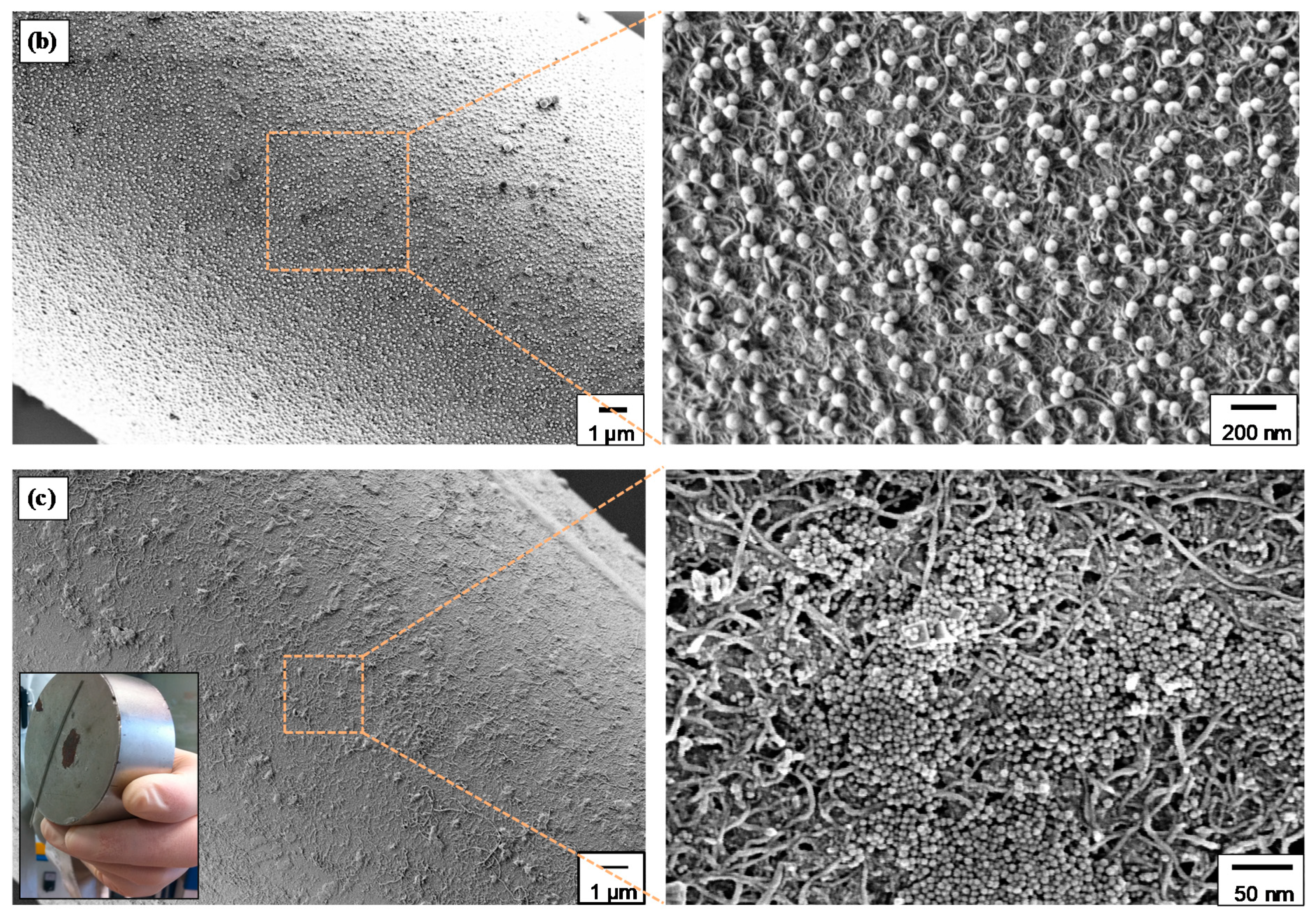 Nanomaterials 10 02500 g005b