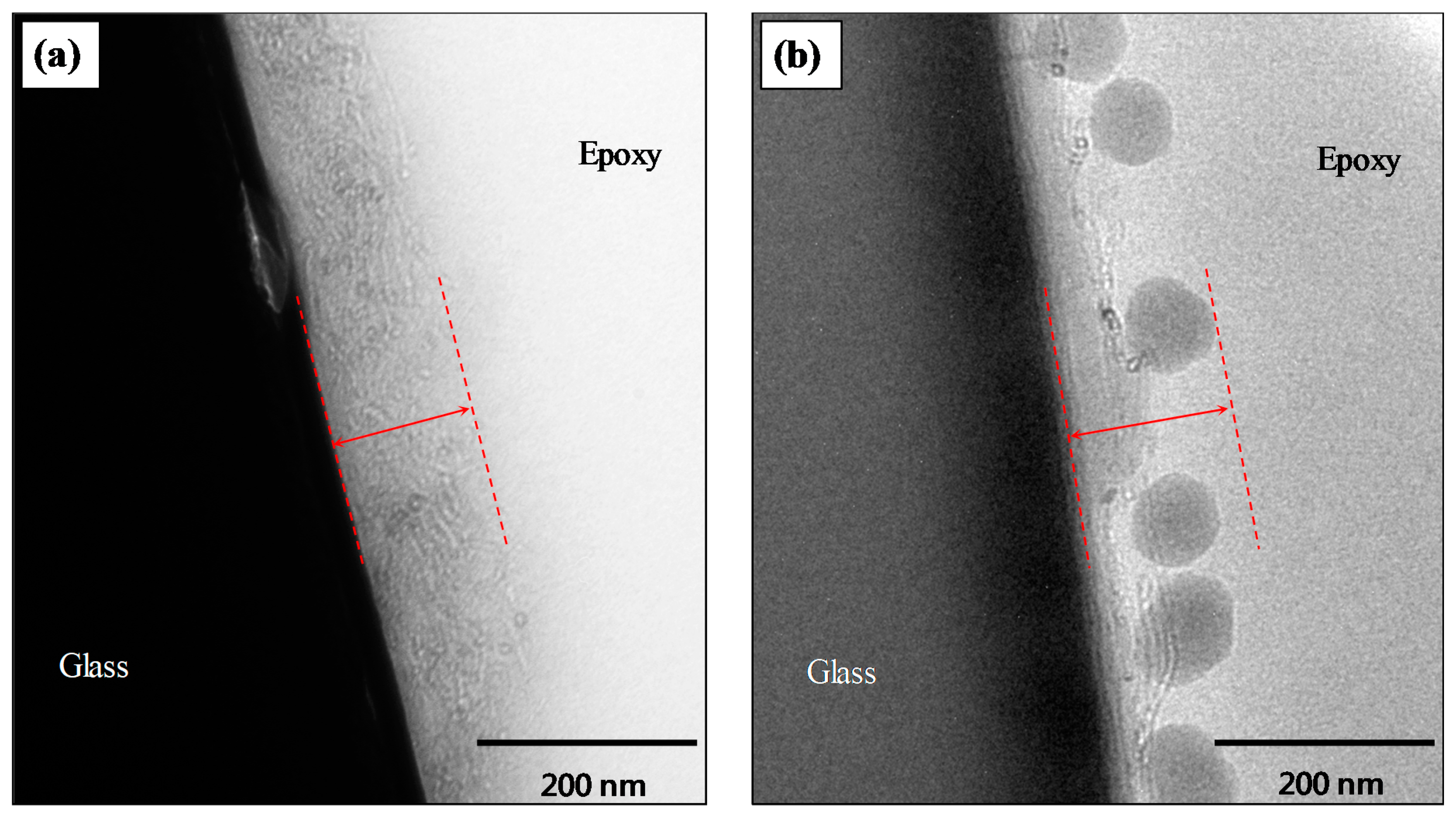 Nanomaterials 10 02500 g006