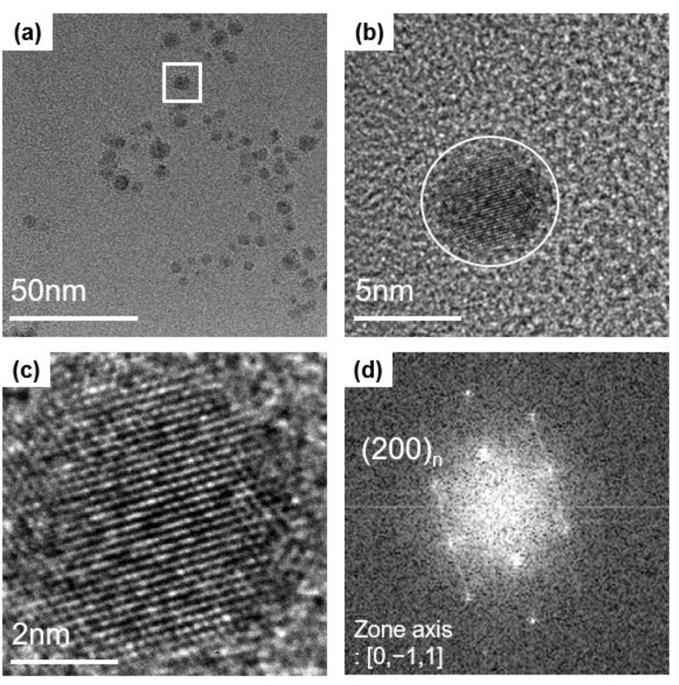 Nanomaterials 10 02504 g002 Nanomaterials 10 02504 g002