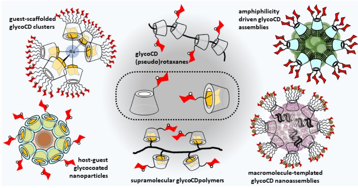 Nanomaterials | Free Full-Text | Cyclodextrin-Based Functional ...