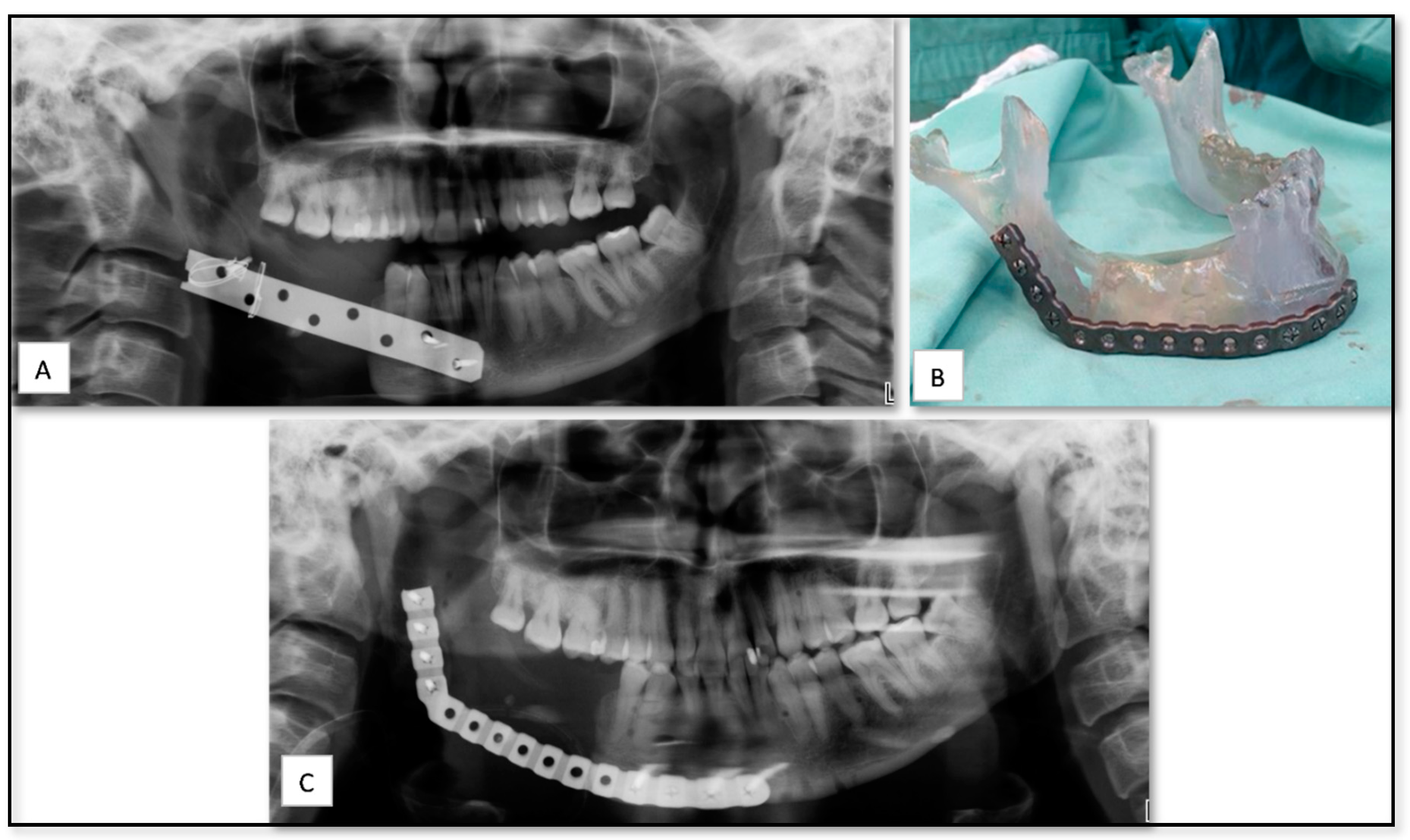 Nanomaterials 10 02523 g001