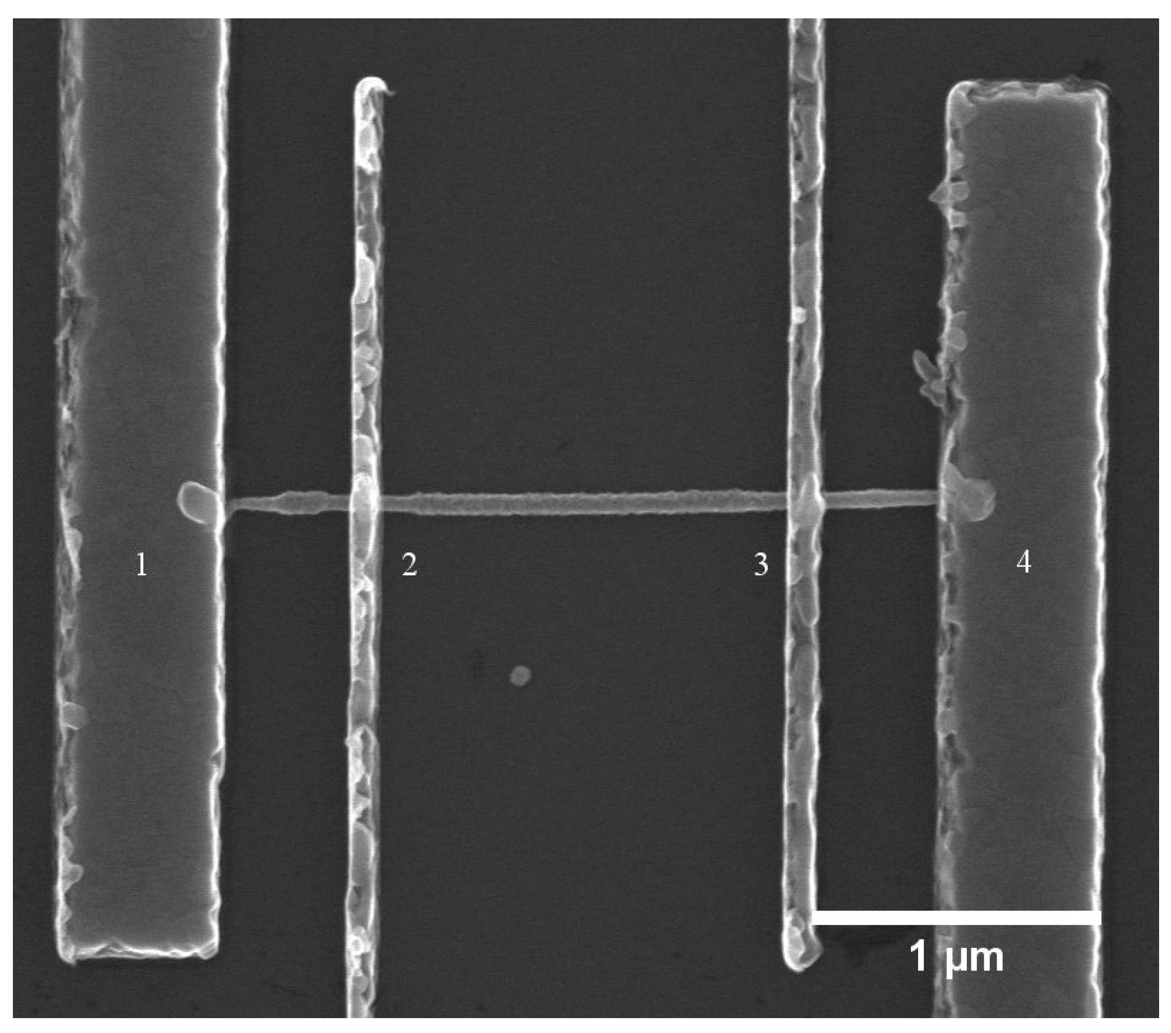 Nanomaterials 10 02524 g001