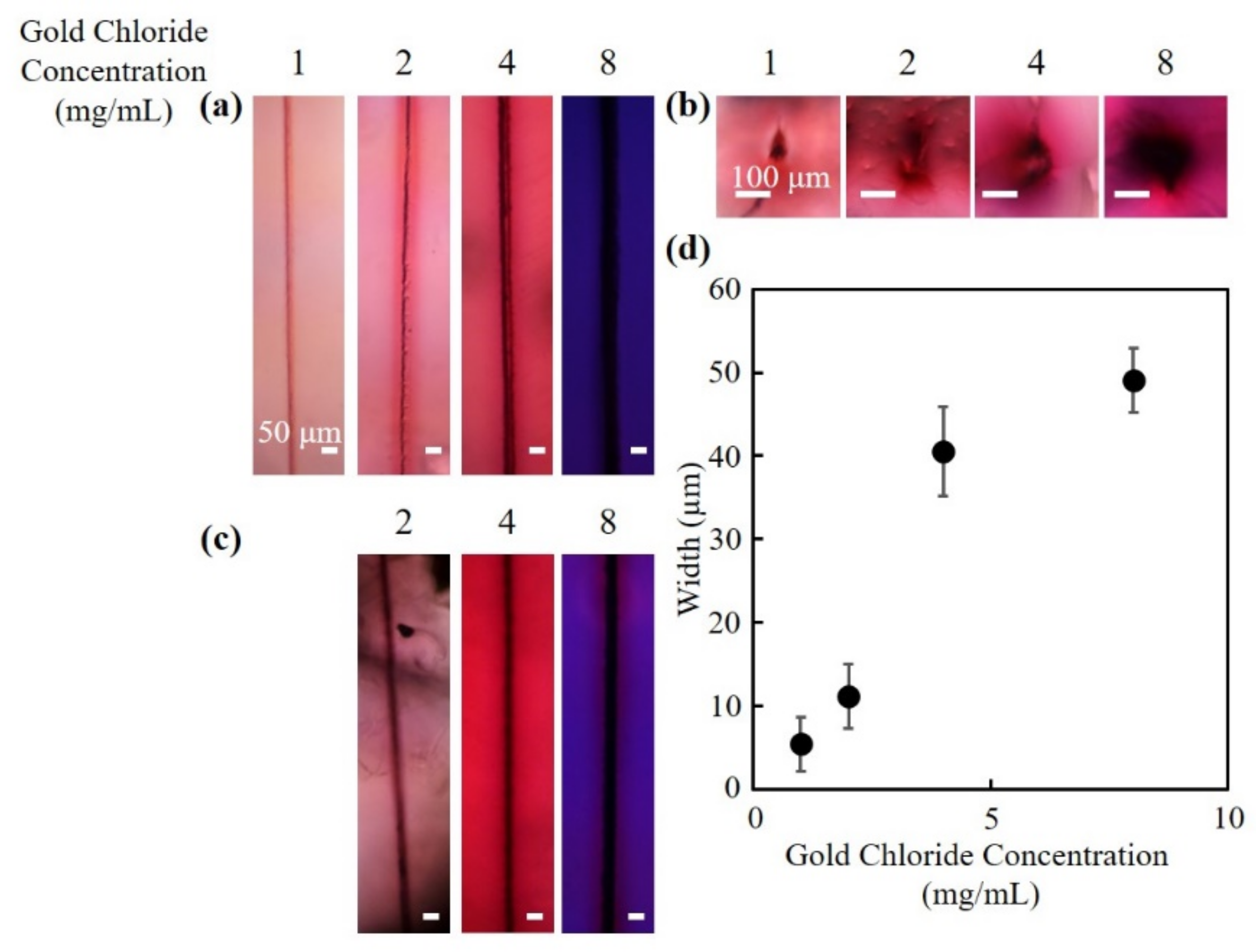 Nanomaterials | Free Full-Text | Fabrication of Hollow Channels Surrounded  by Gold Nanoparticles in Hydrogel by Femtosecond Laser Irradiation
