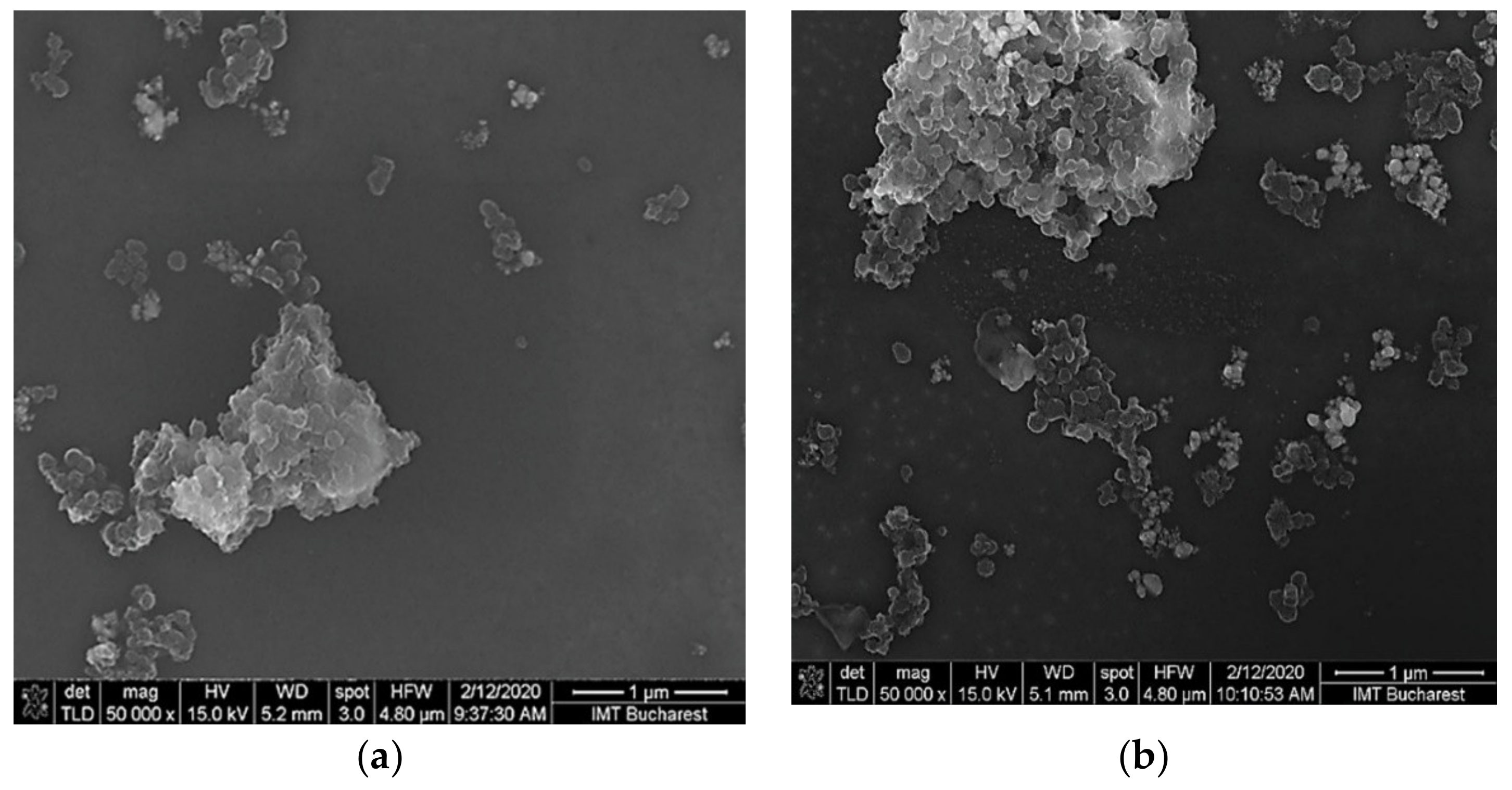 Nanomaterials 10 02552 g002