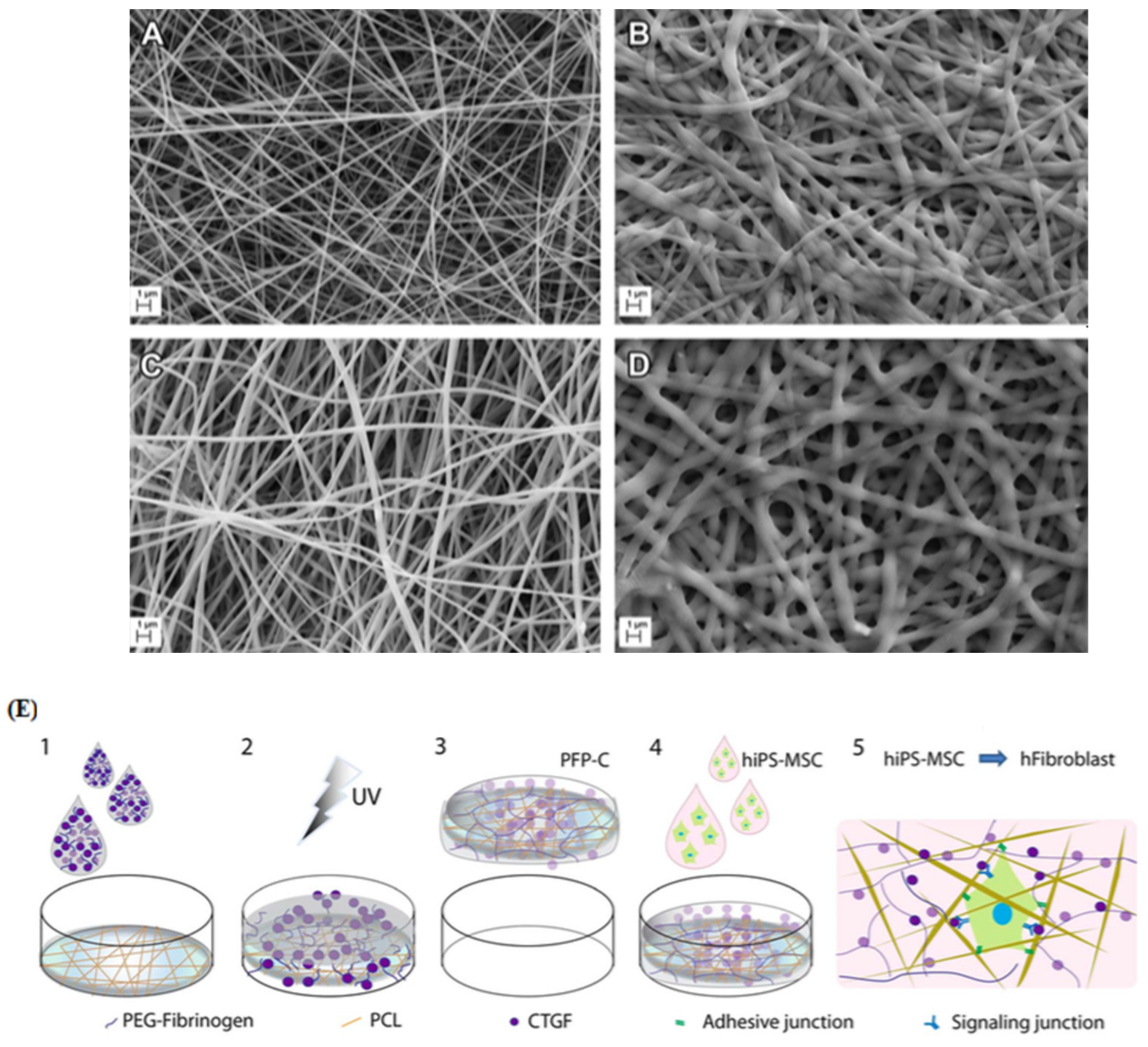 Nanomaterials 11 00021 g006