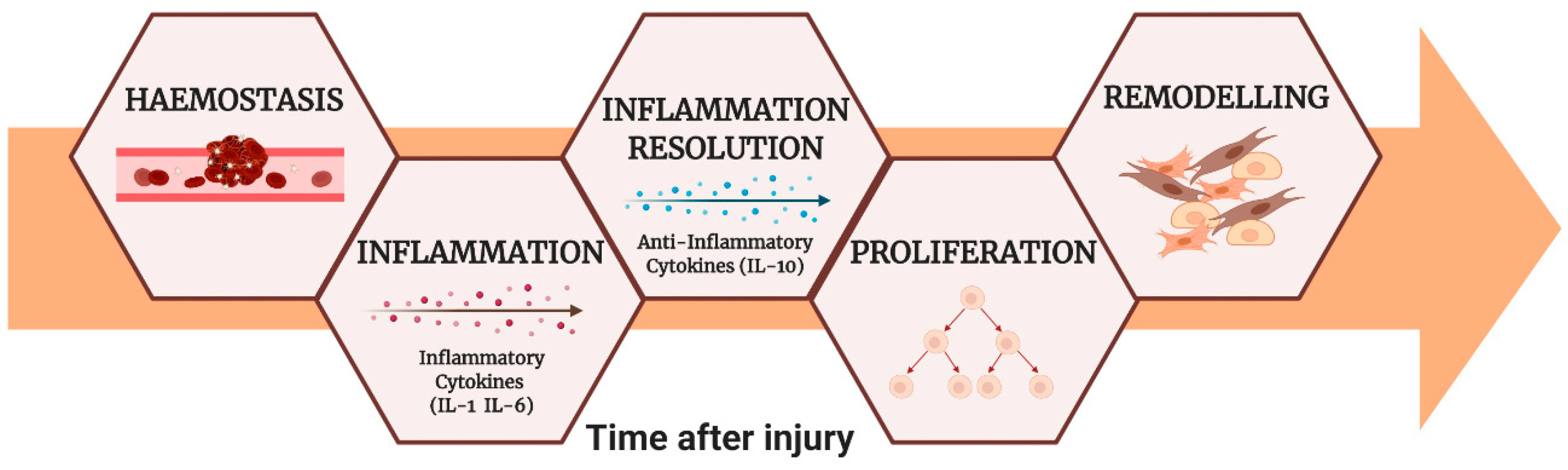 Nanomaterials 11 00036 g001 Nanomaterials 11 00036 g001