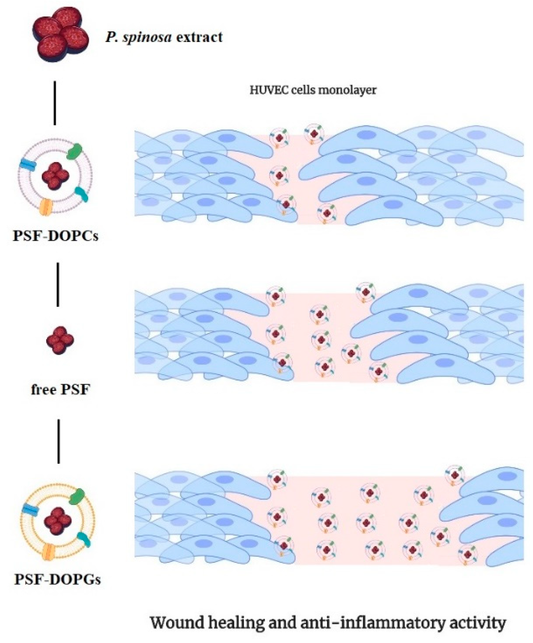 Nanomaterials 11 00036 g007 Nanomaterials 11 00036 g007