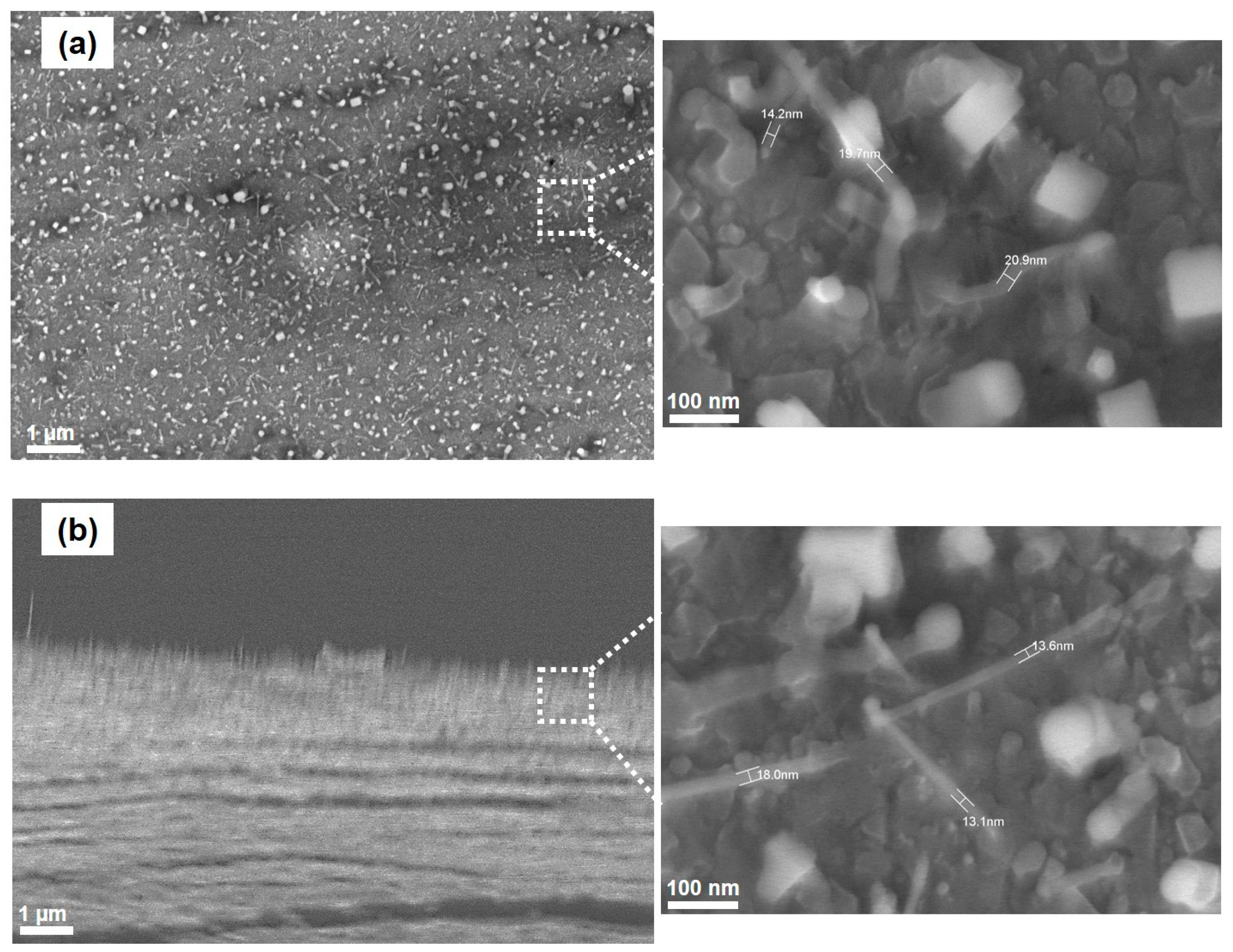 Nanomaterials 11 00050 g010