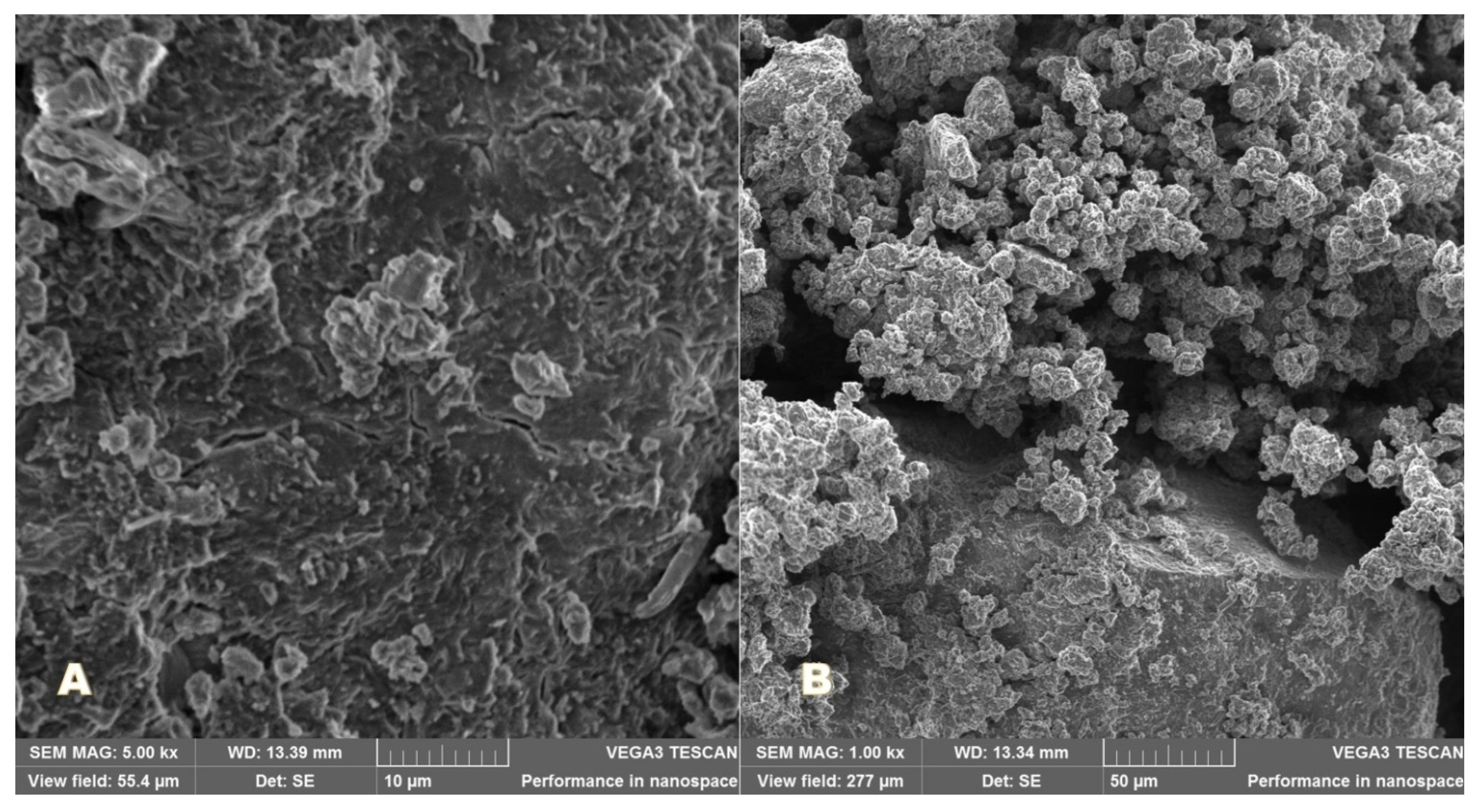 Nanomaterials 11 00051 g007