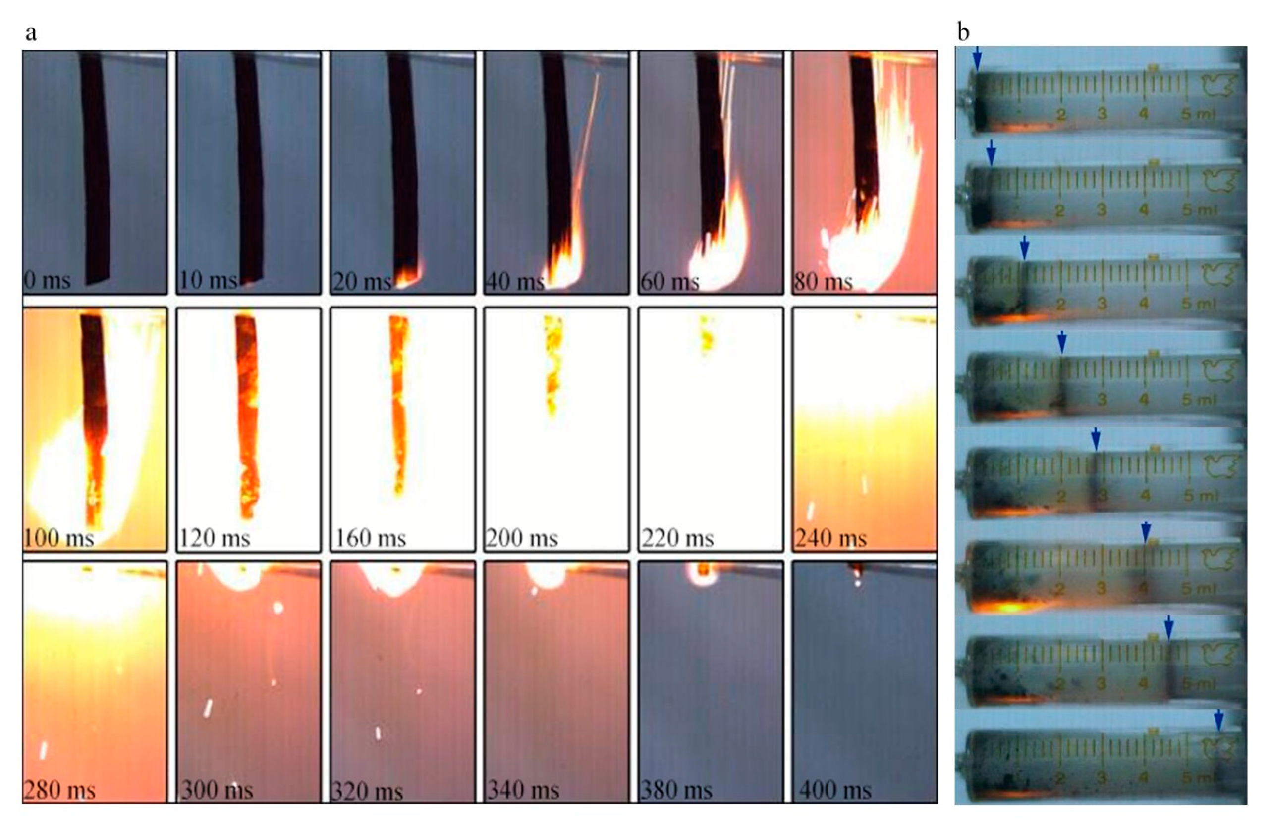 Nanomaterials 11 00058 g008