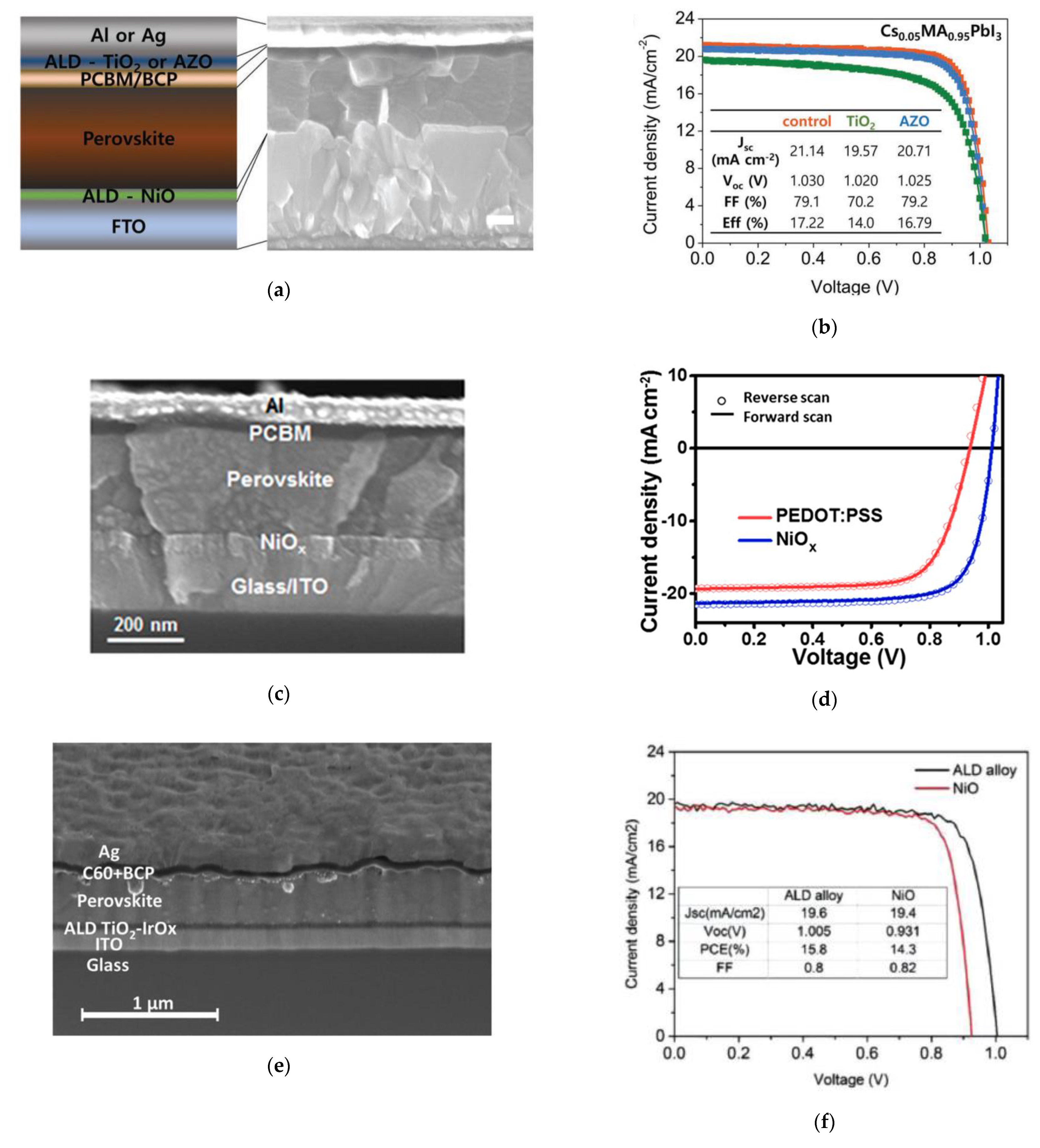 Nanomaterials 11 00088 g003