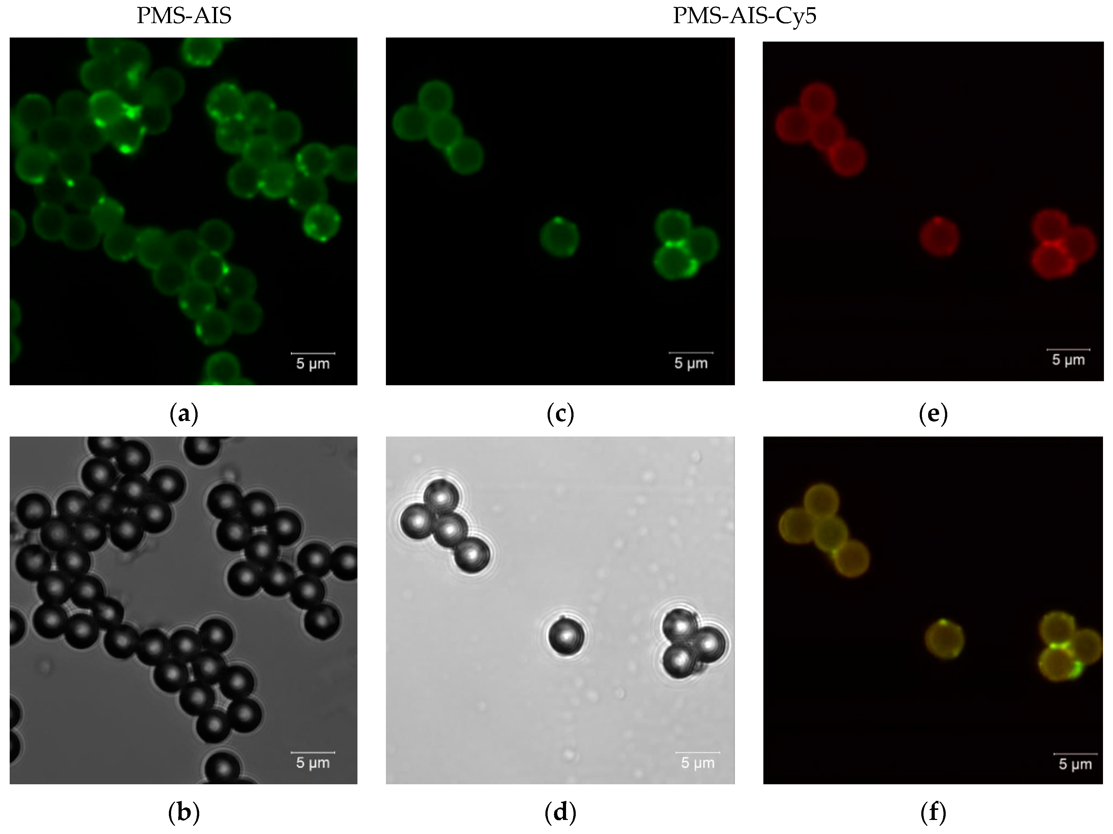 Nanomaterials 11 00109 g002