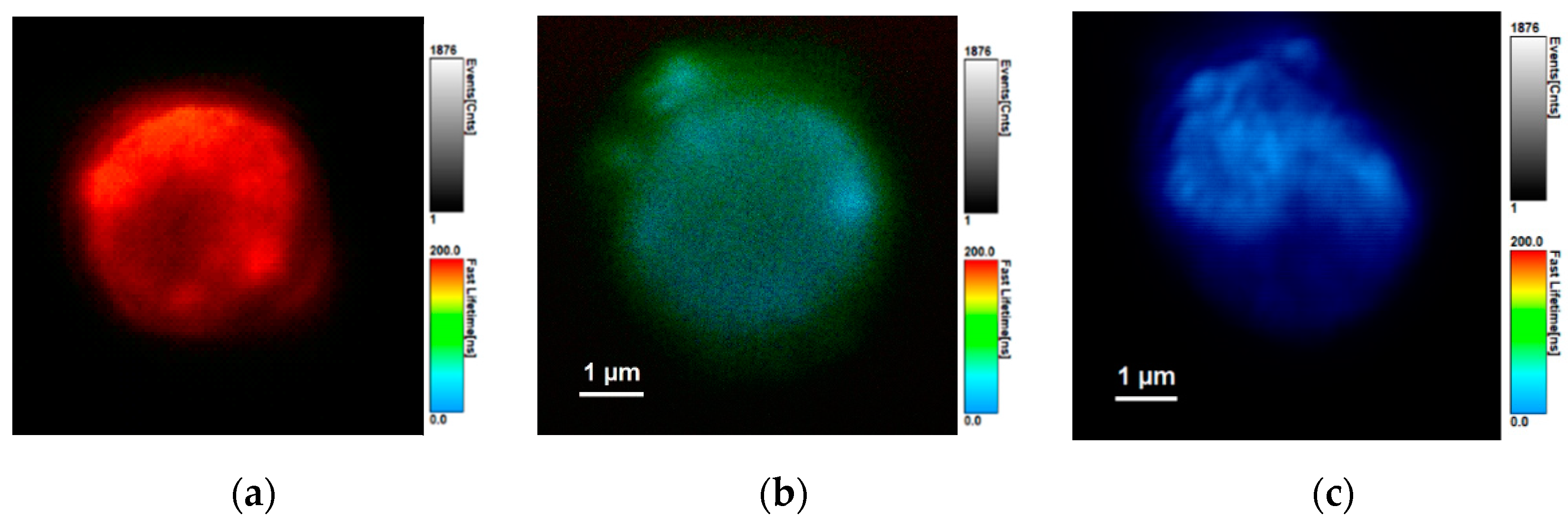 Nanomaterials 11 00109 g007