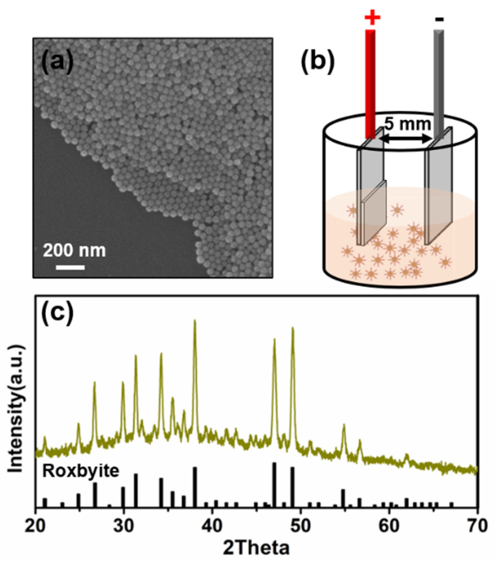 Nanomaterials 11 00133 g001 Nanomaterials 11 00133 g001