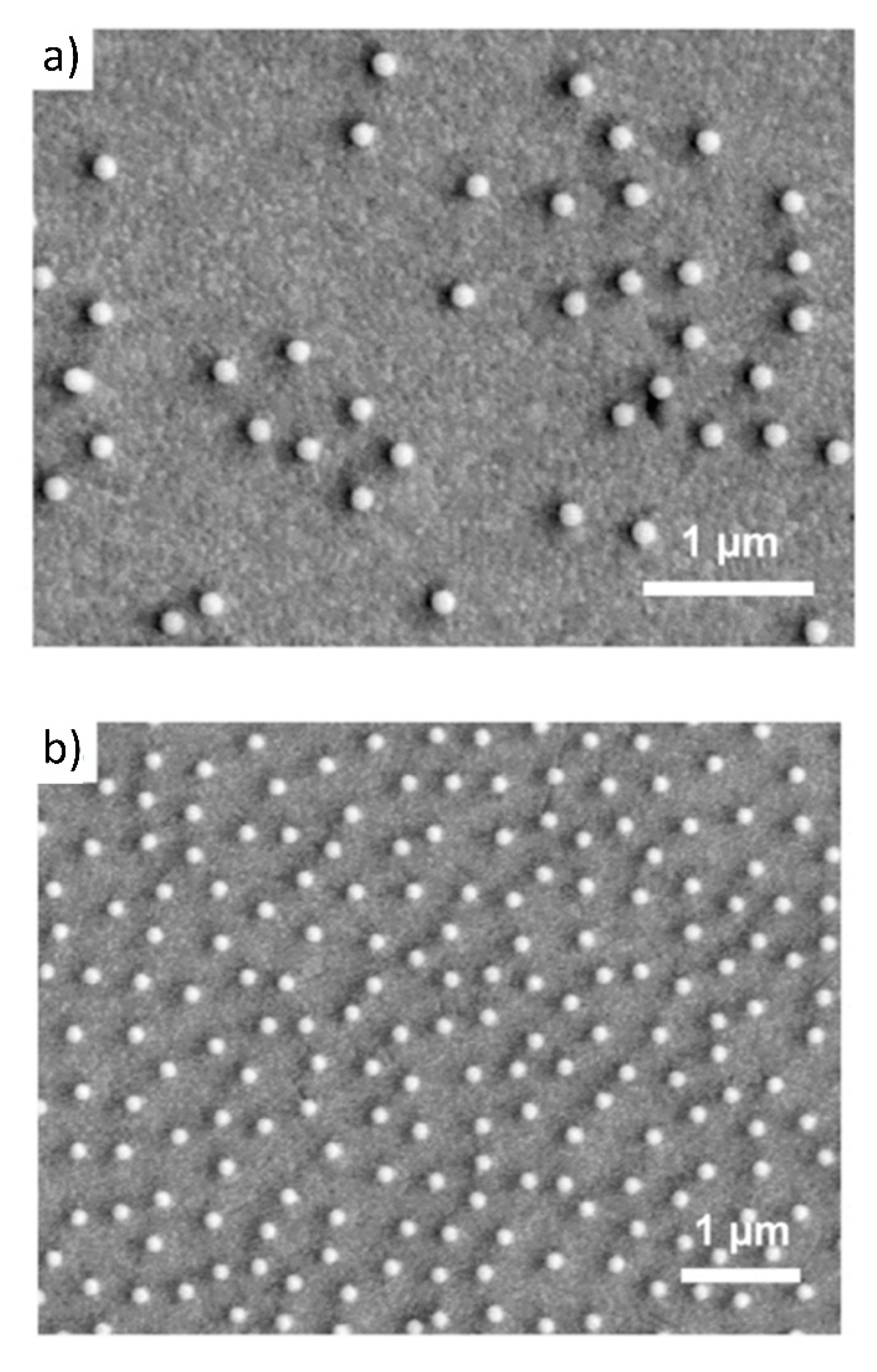 Nanomaterials 11 00145 g008