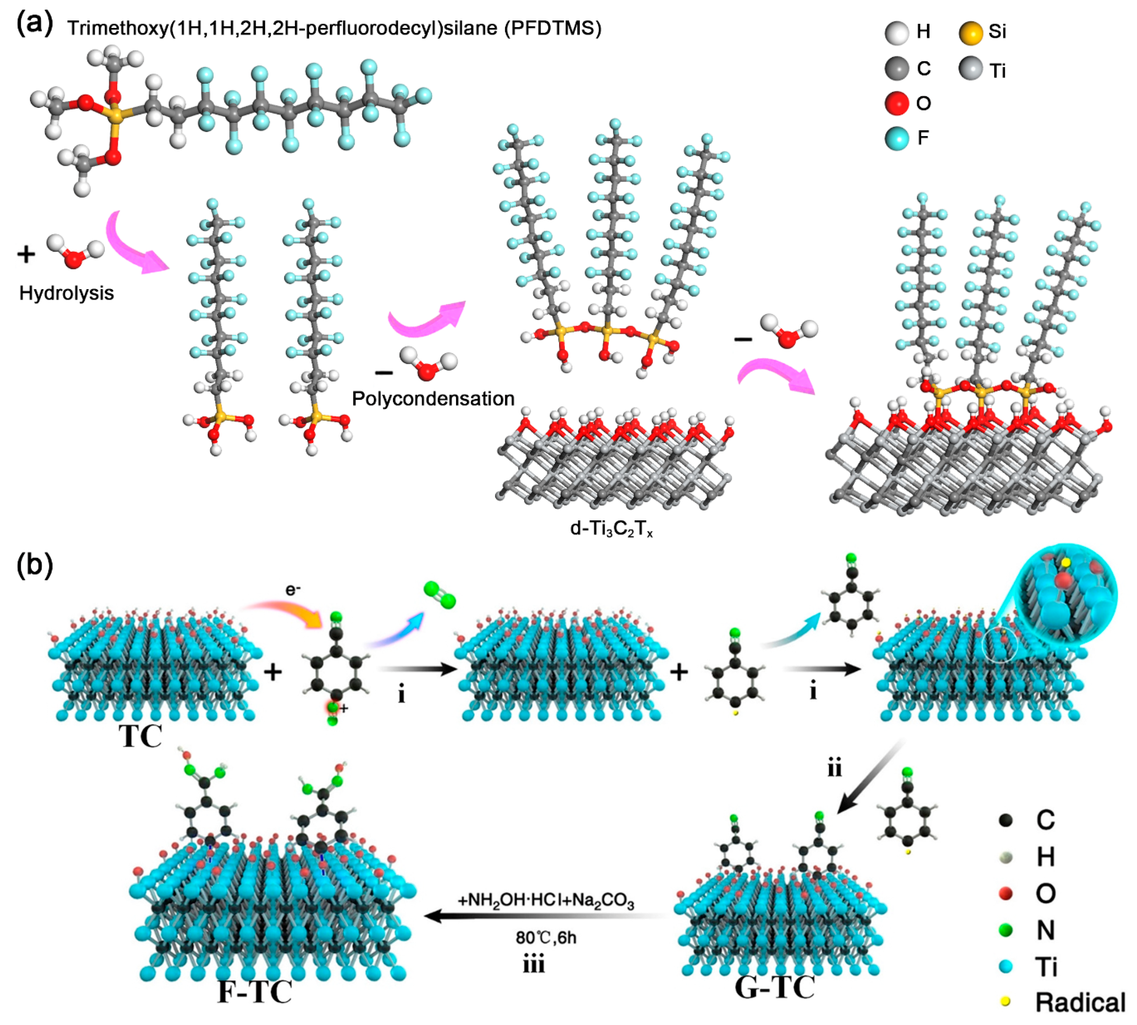 Nanomaterials 11 00166 g002