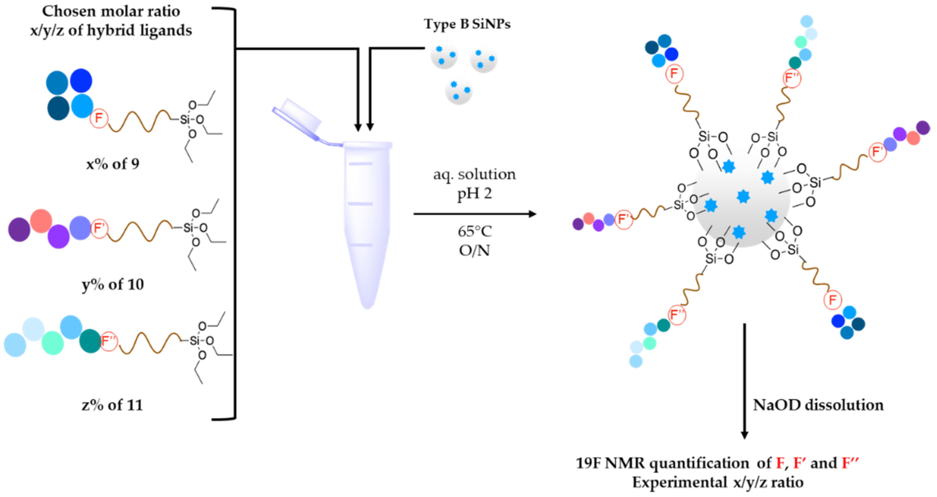 Nanomaterials Free Full Text Design Of Pegylated Three Ligands Silica Nanoparticles For Multi Receptor Targeting Html