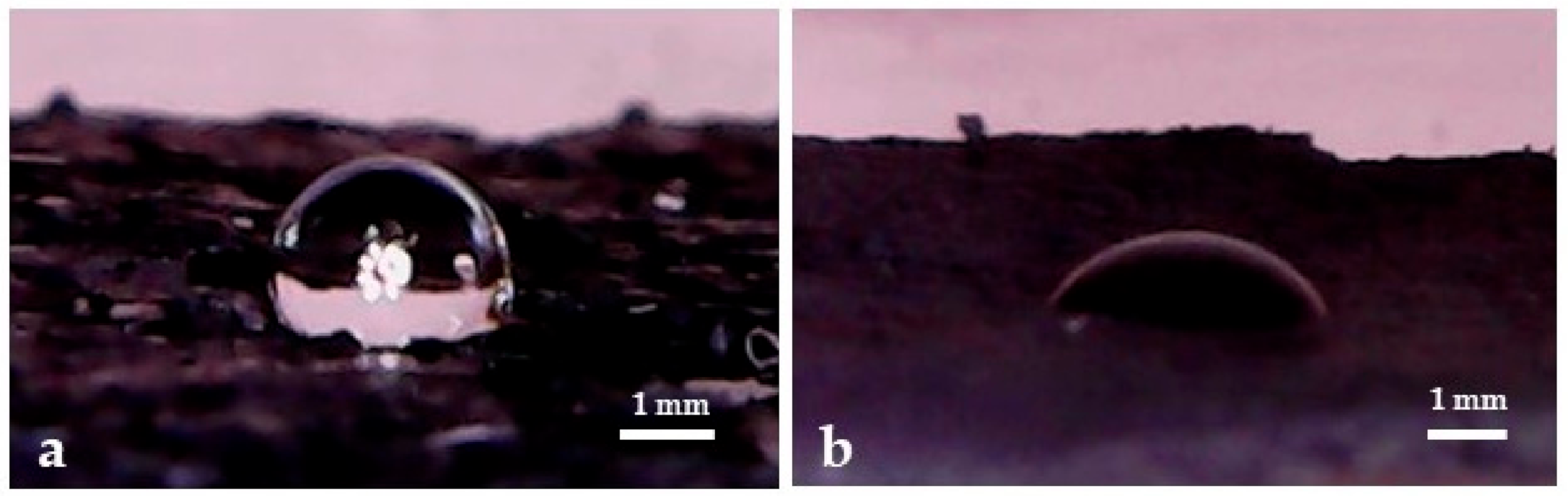 Nanomaterials 11 00190 g007 Nanomaterials 11 00190 g007