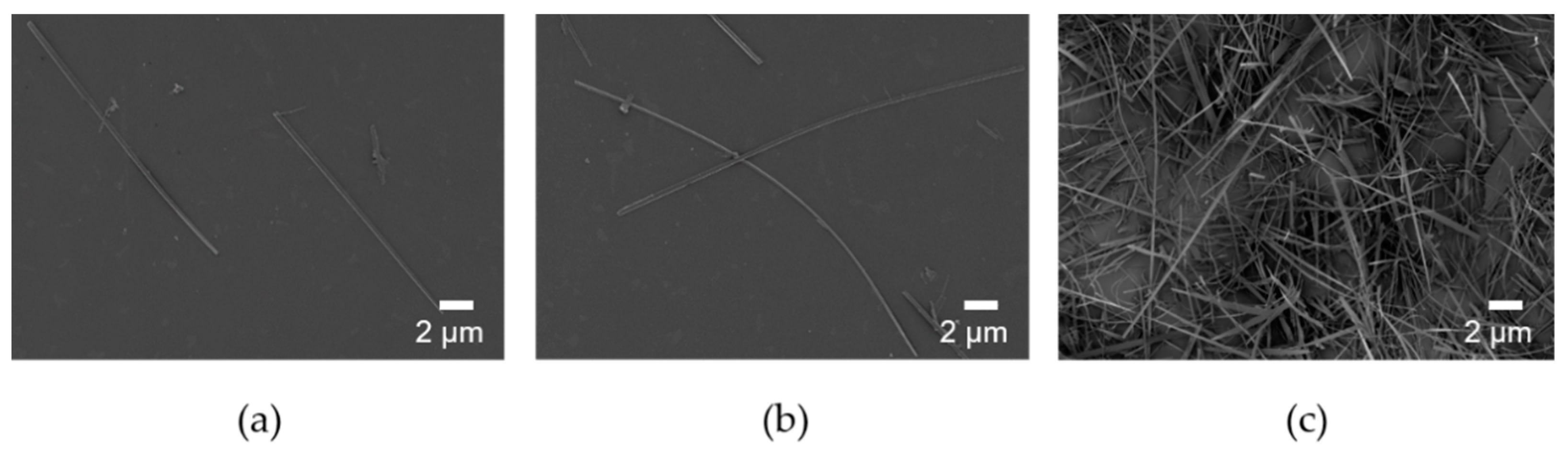 Nanomaterials 11 00213 g002 Nanomaterials 11 00213 g002