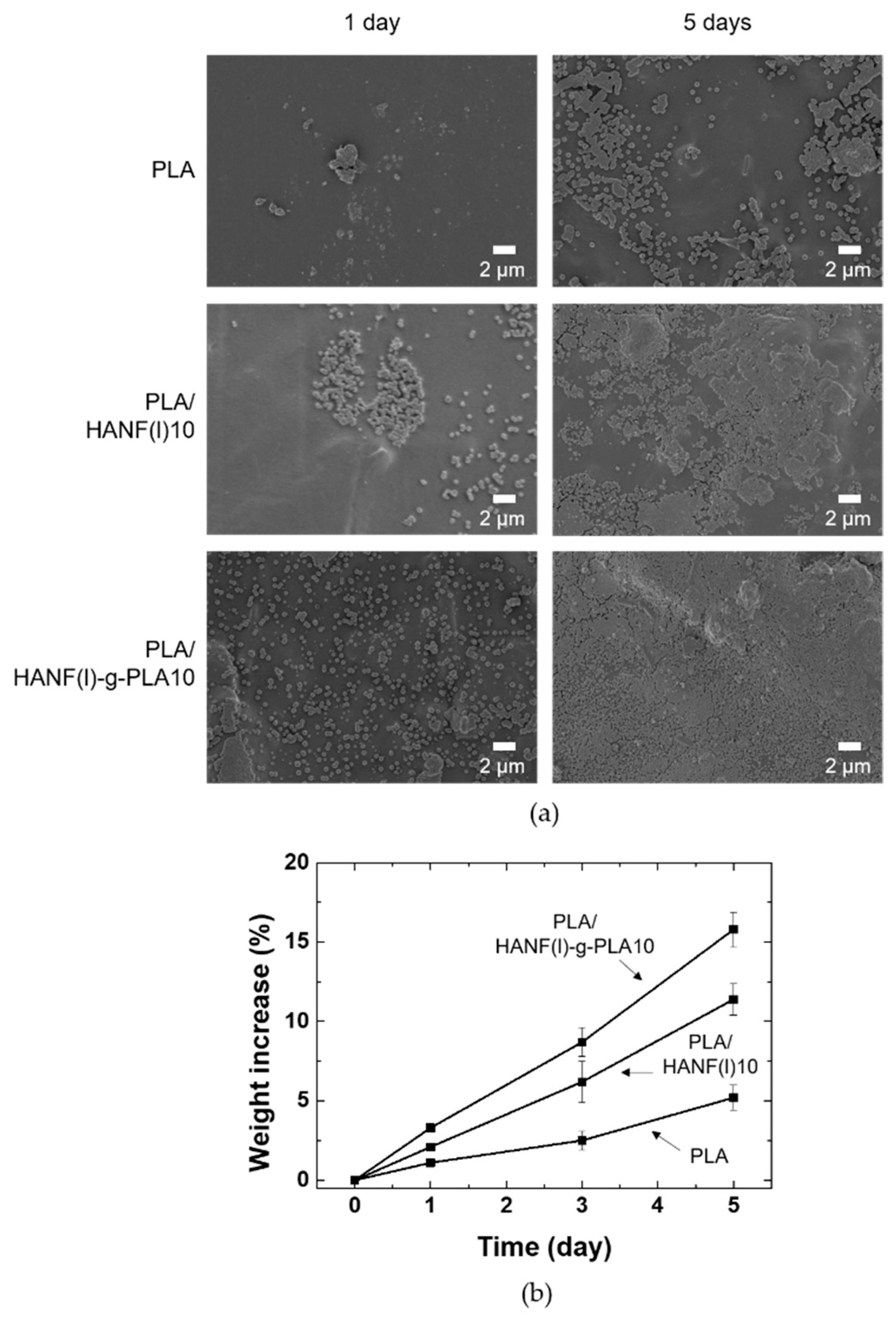 Nanomaterials 11 00213 g006 Nanomaterials 11 00213 g006