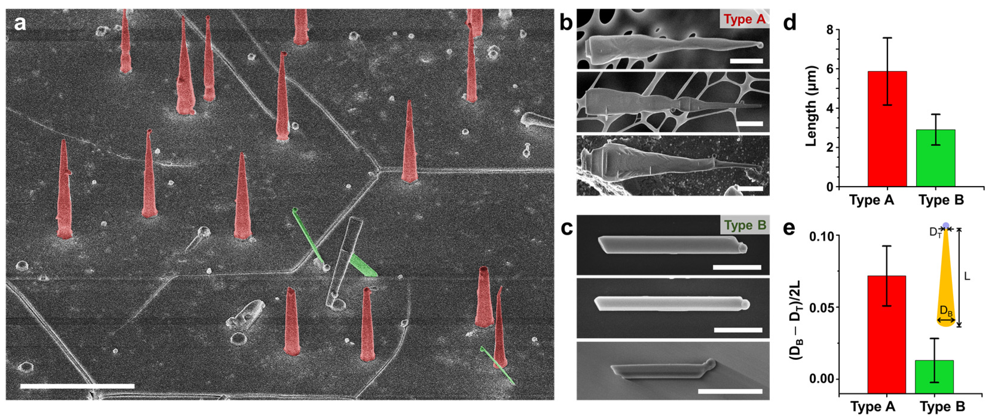 Nanomaterials 11 00223 g001 Nanomaterials 11 00223 g001