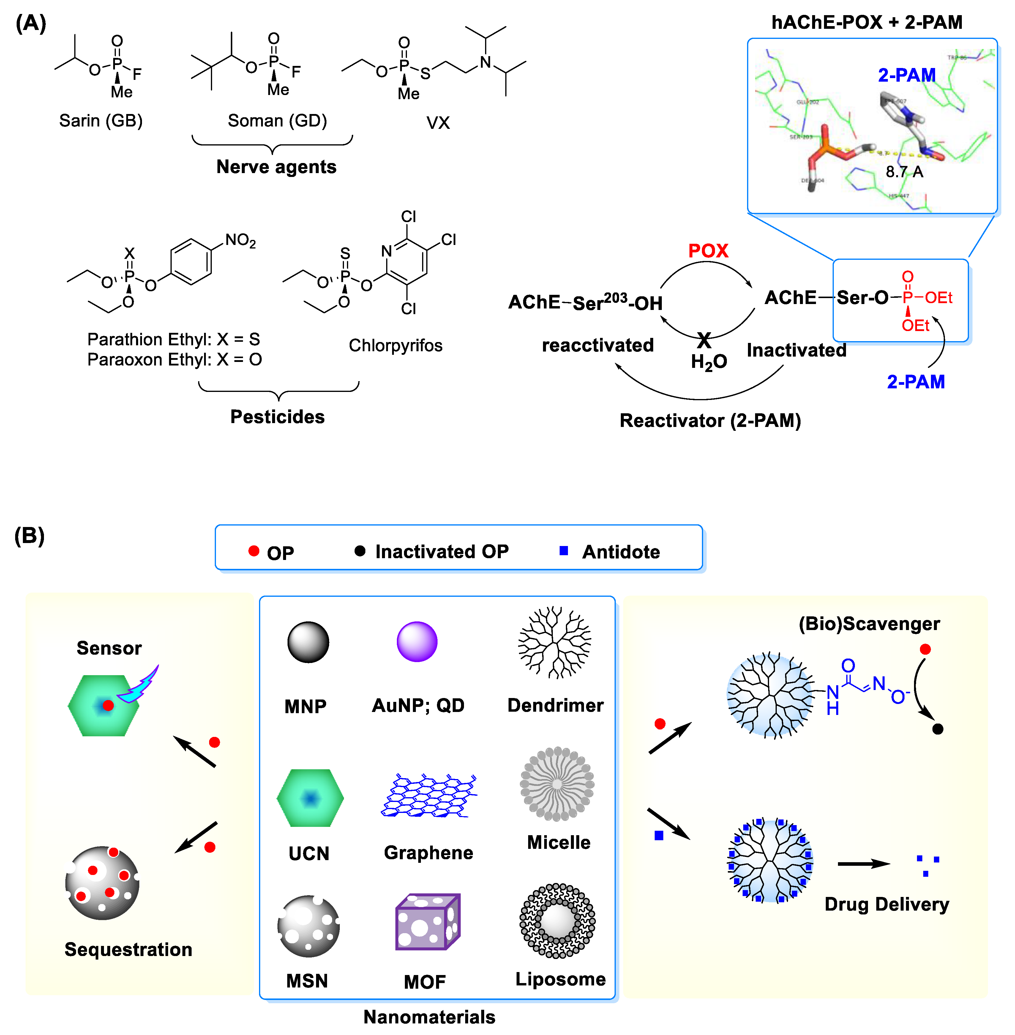 Nanomaterials 11 00224 g001