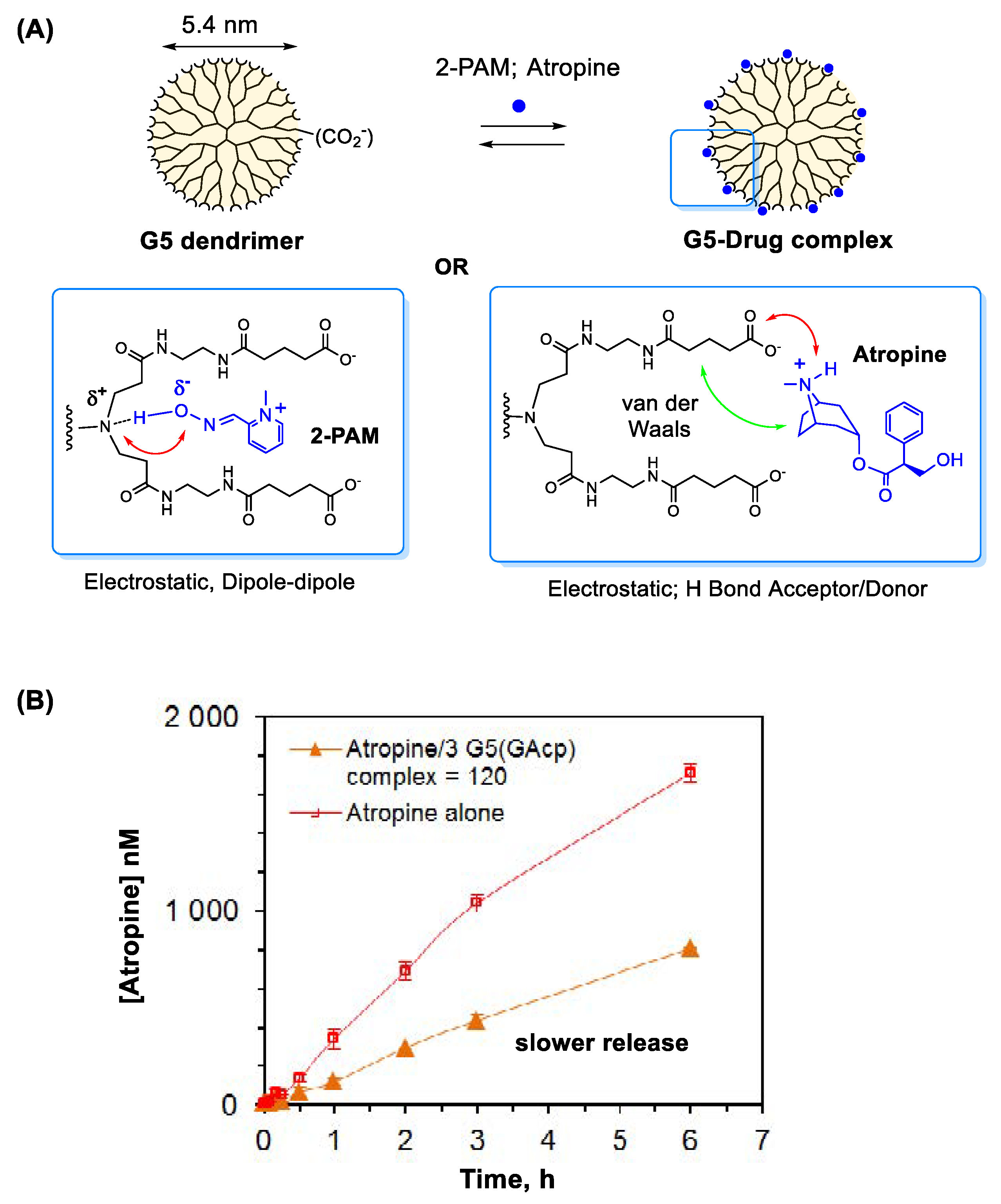 Nanomaterials 11 00224 g004
