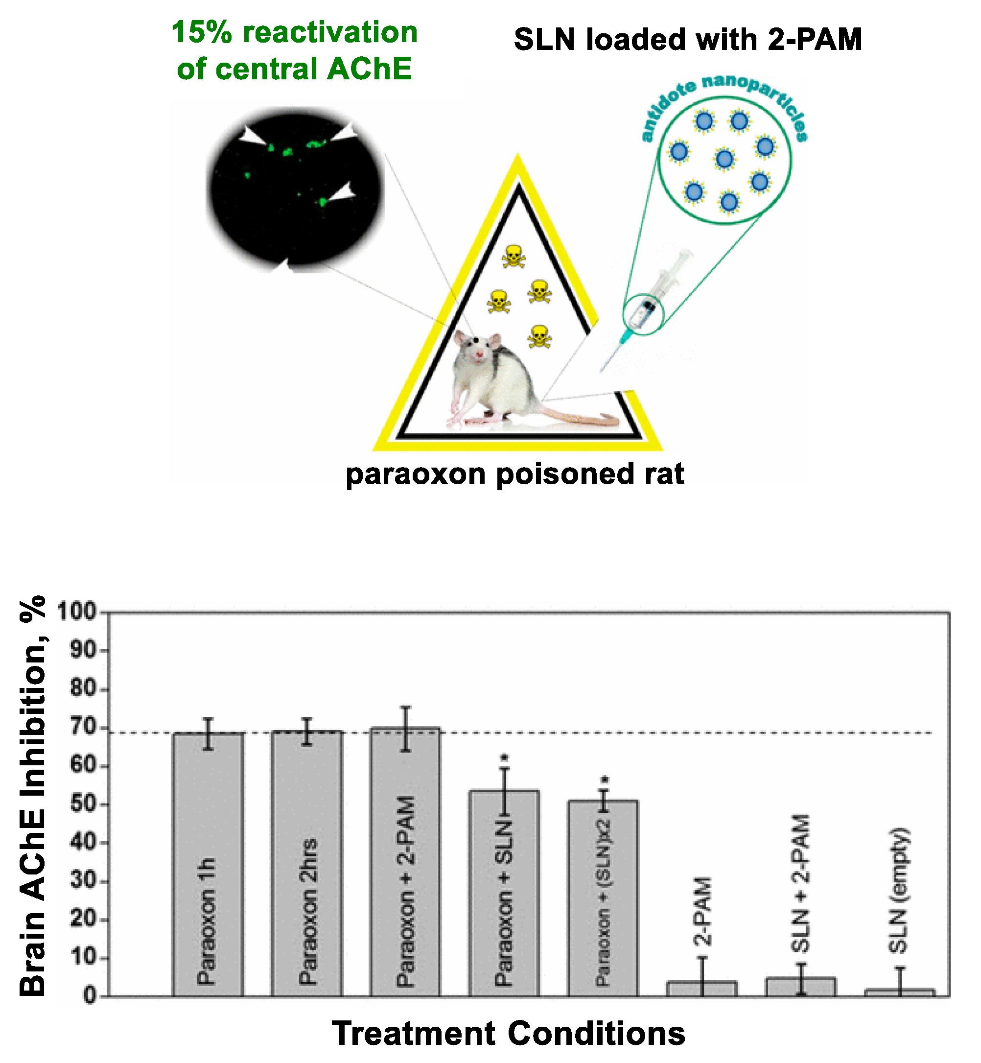 Nanomaterials 11 00224 g005