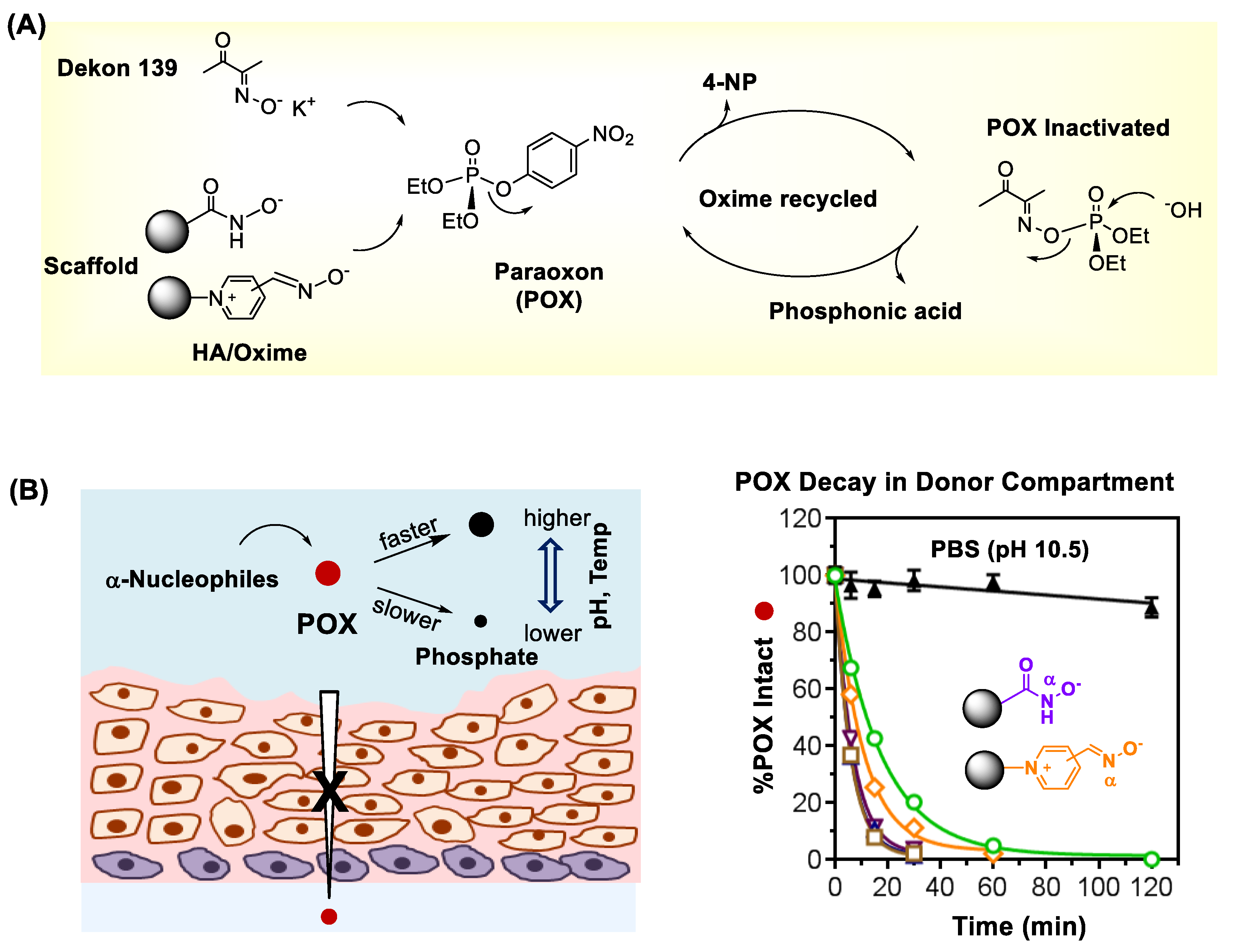 Nanomaterials 11 00224 g006