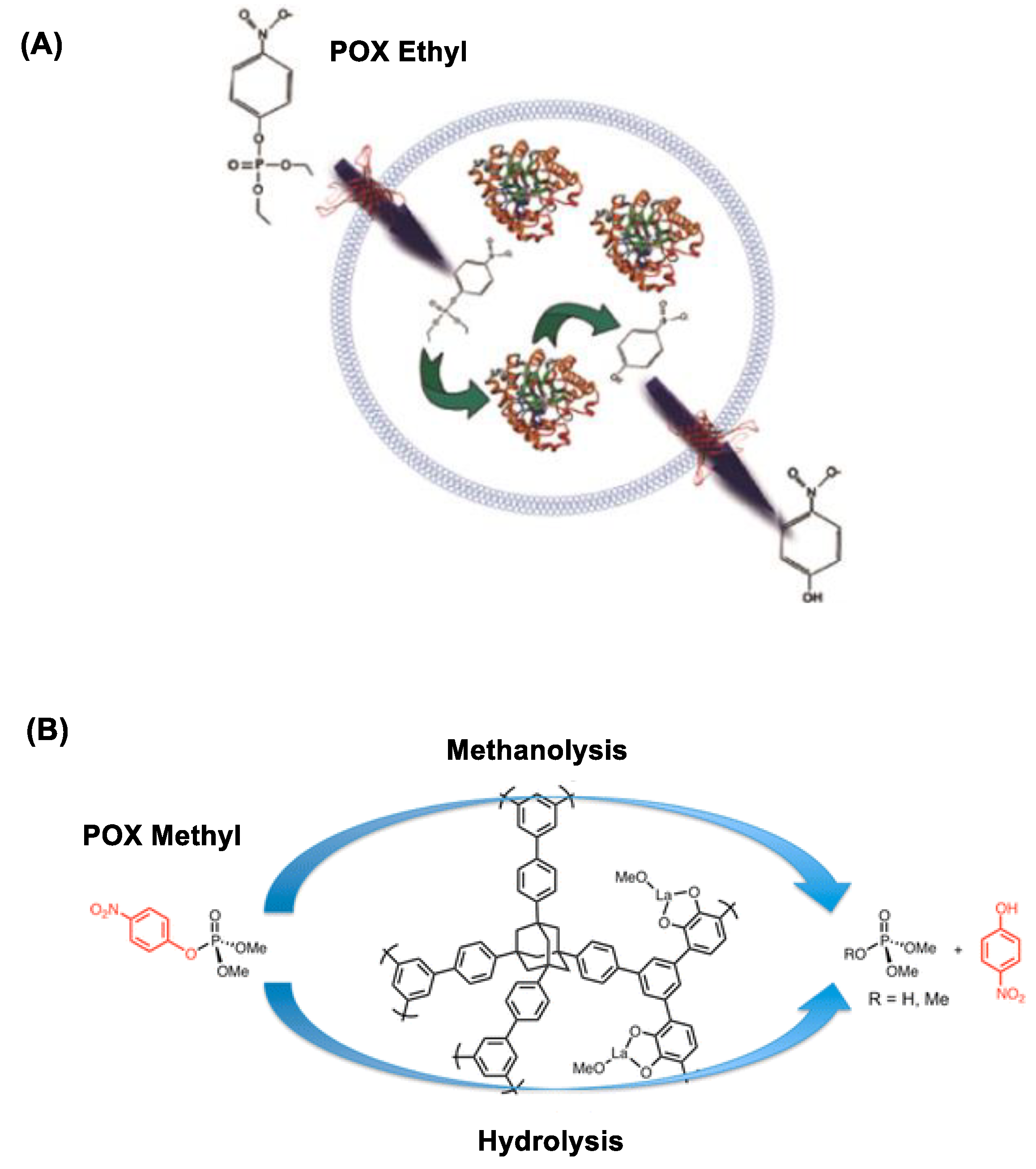 Nanomaterials 11 00224 g007