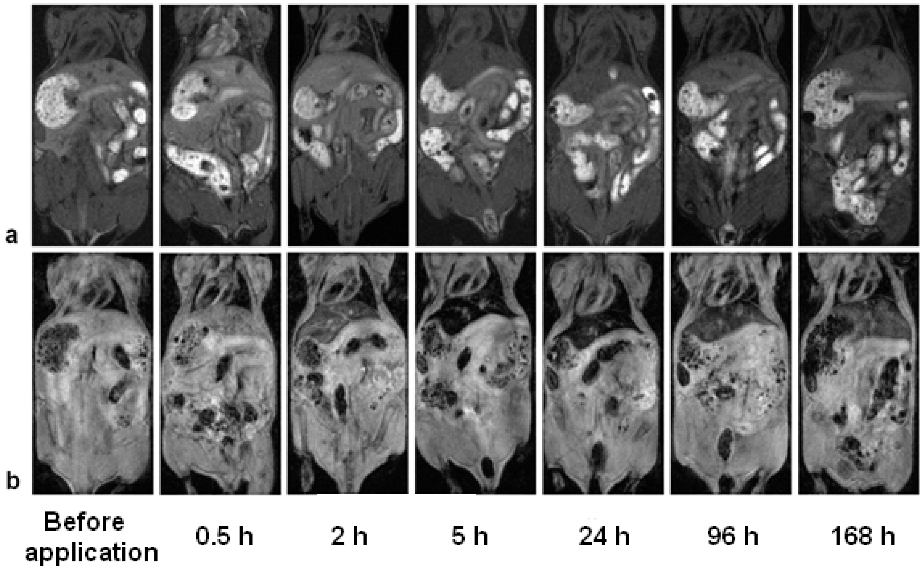 Nanomaterials 11 00230 g008