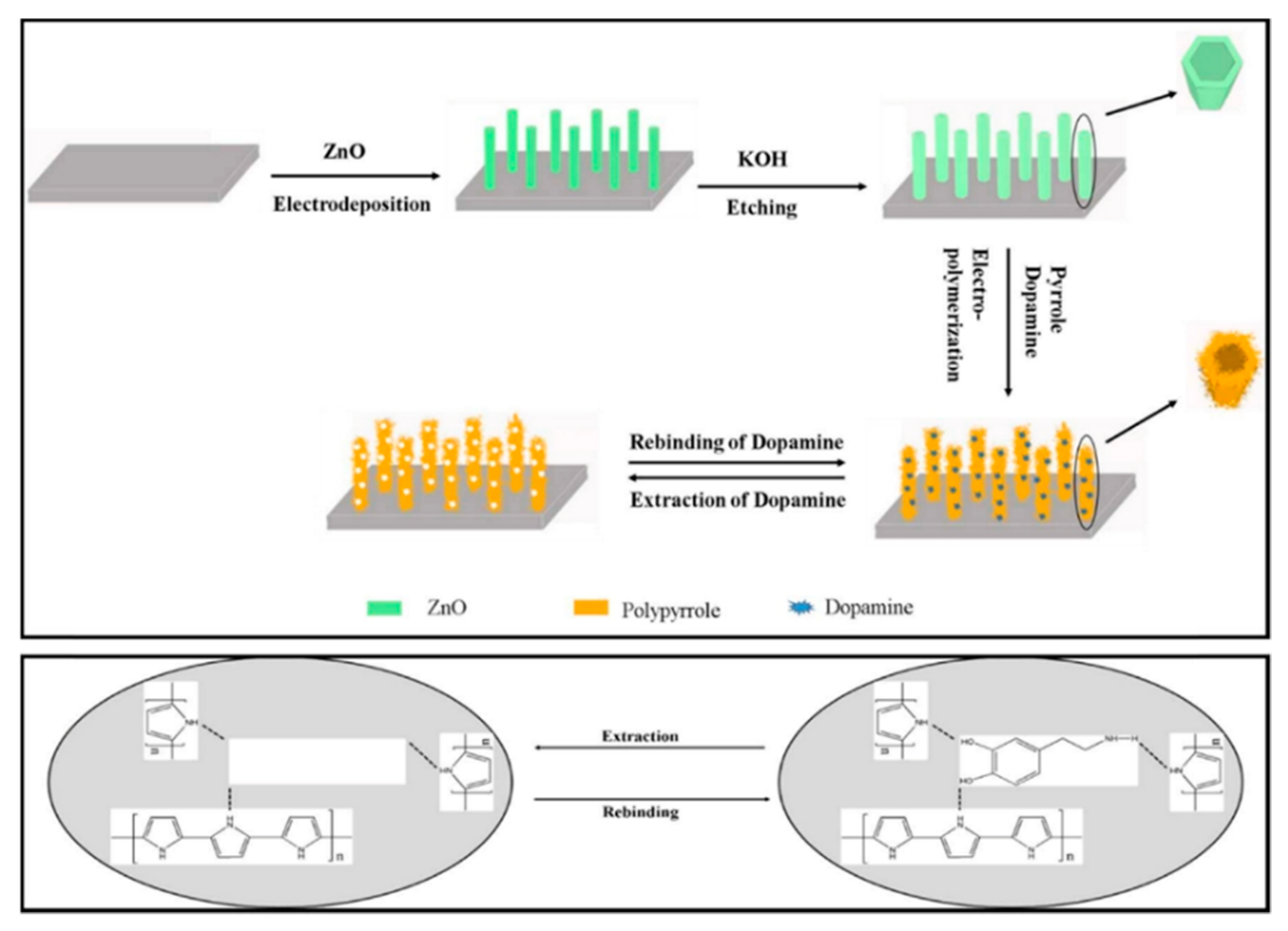 Nanomaterials 11 00252 g001