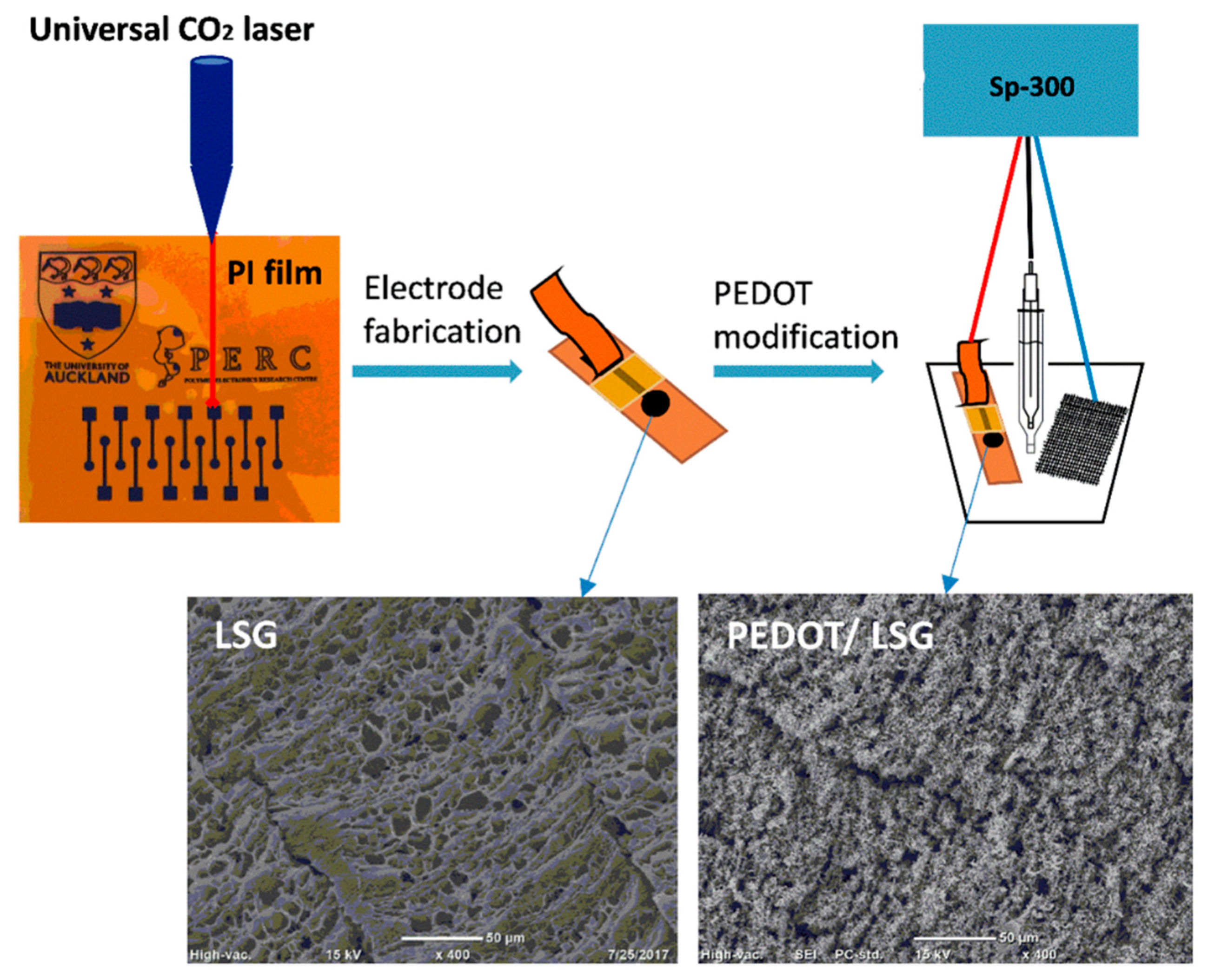 Nanomaterials 11 00252 g005