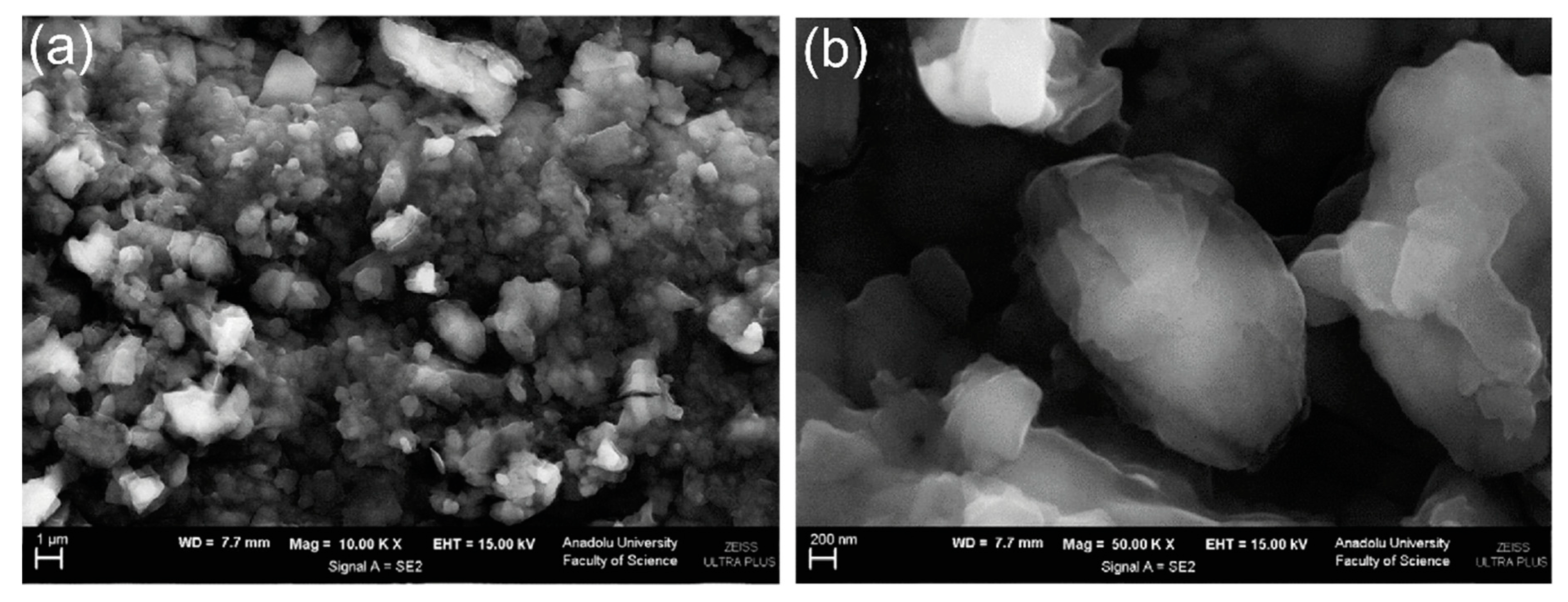 Nanomaterials 11 00252 g011