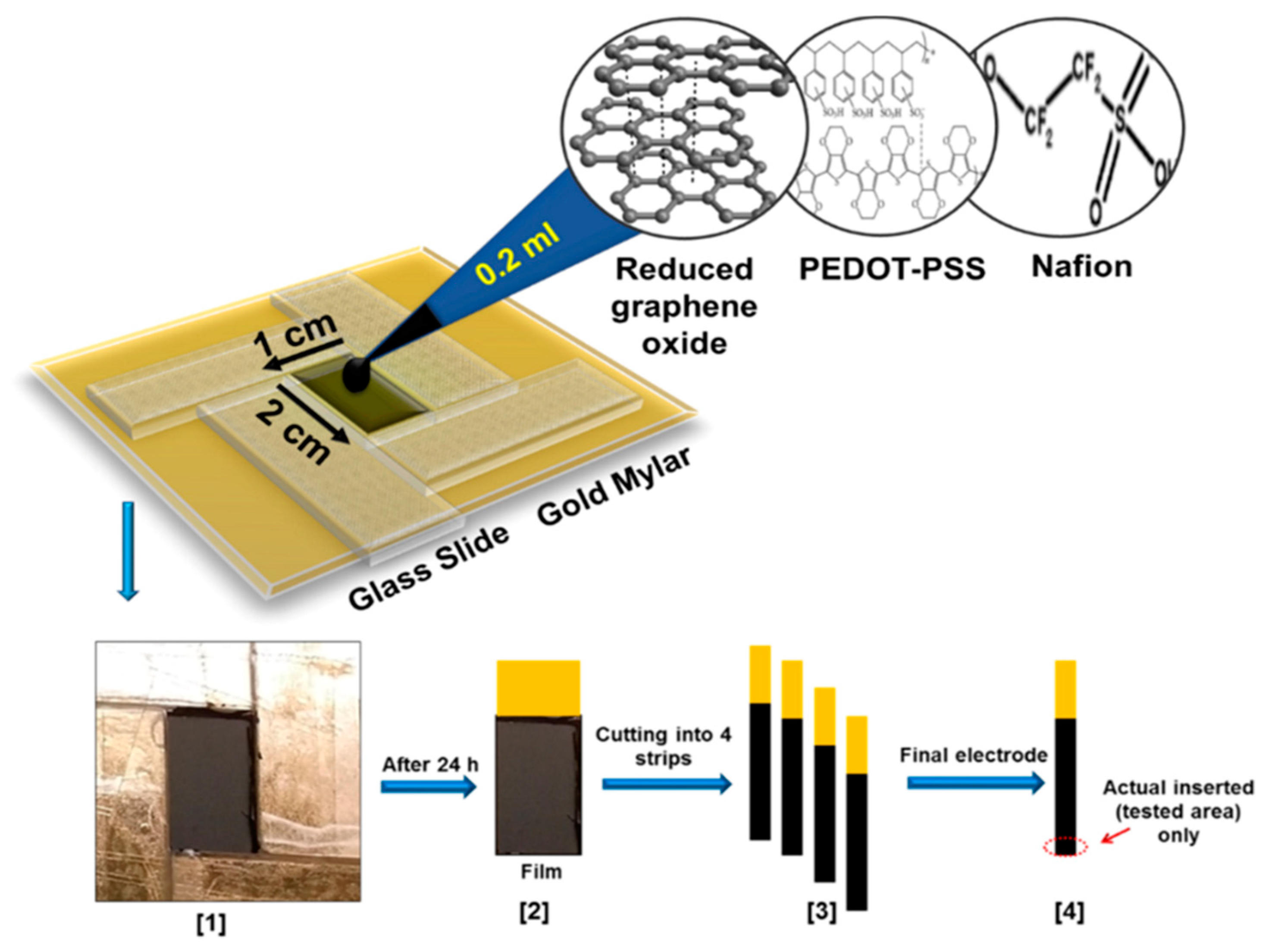 Nanomaterials 11 00252 g012