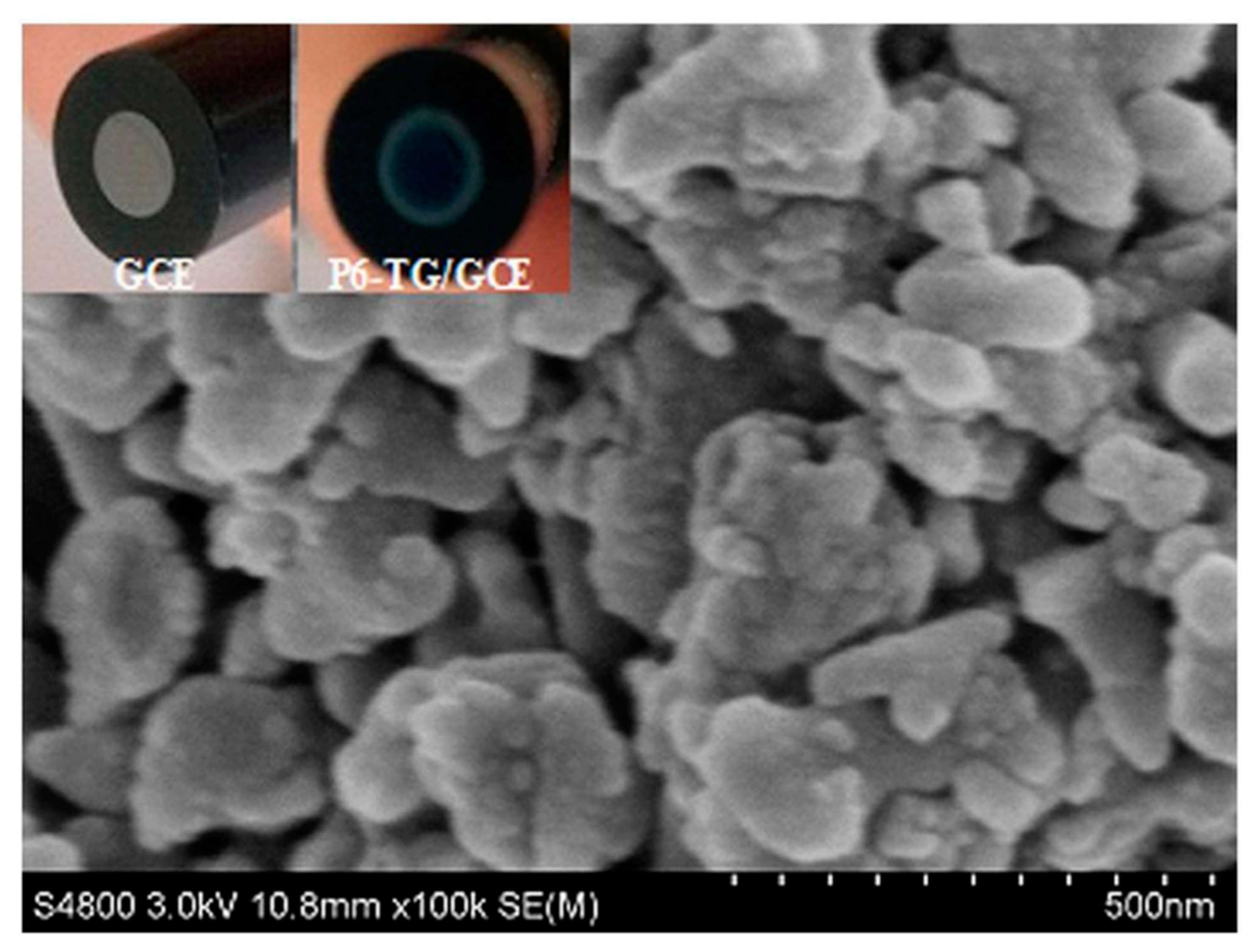 Nanomaterials 11 00252 g014