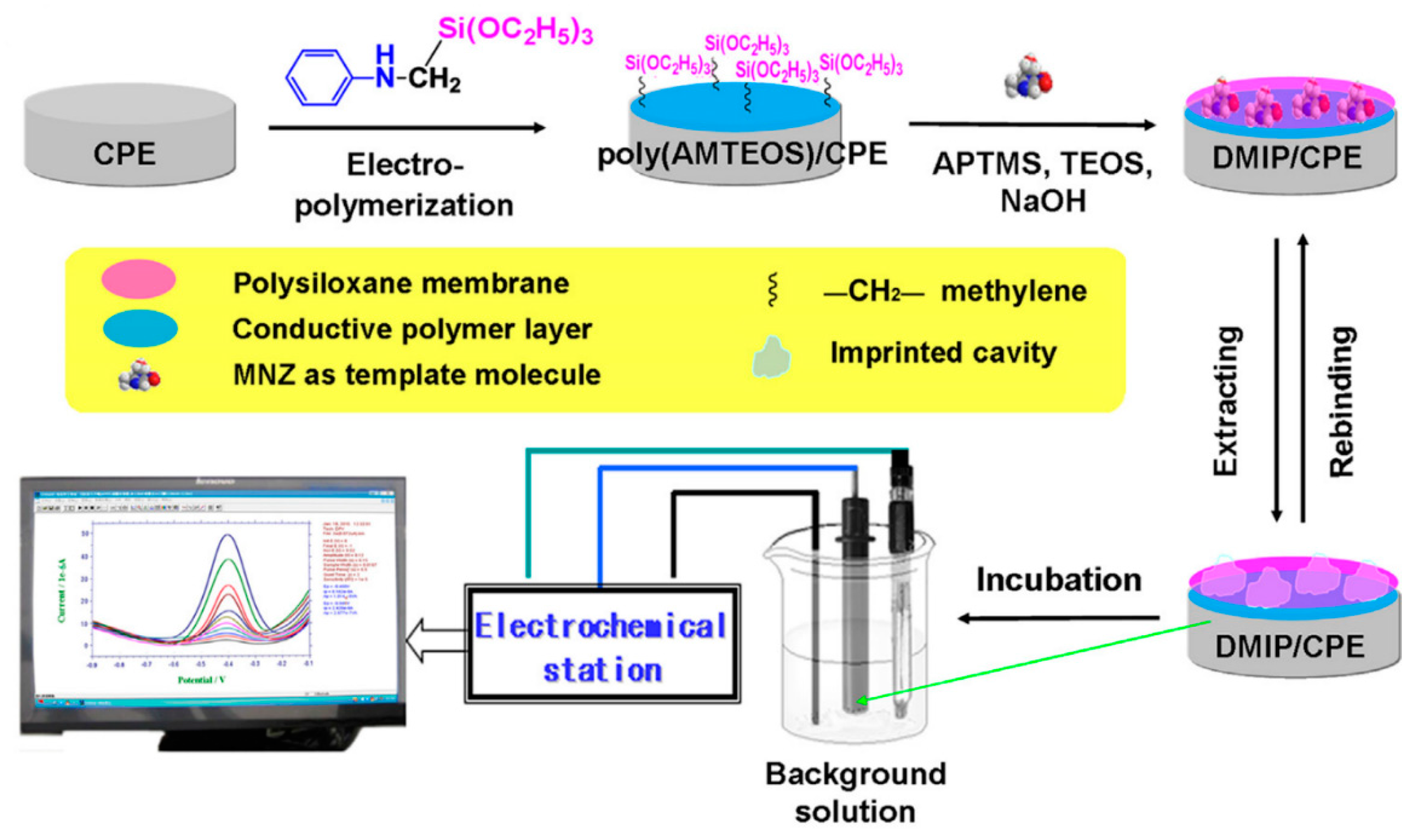 Nanomaterials 11 00252 g016
