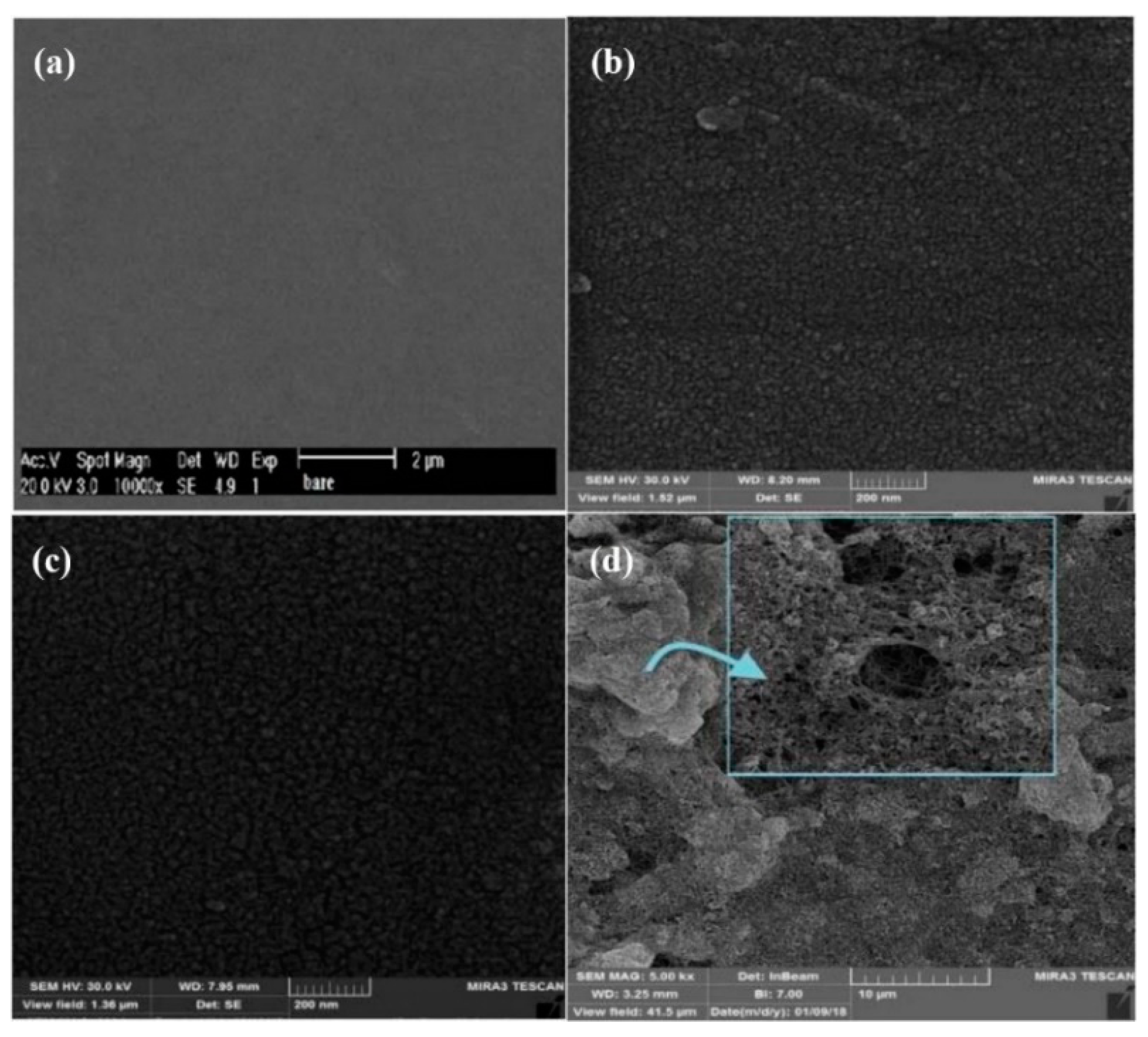 Nanomaterials 11 00252 g018