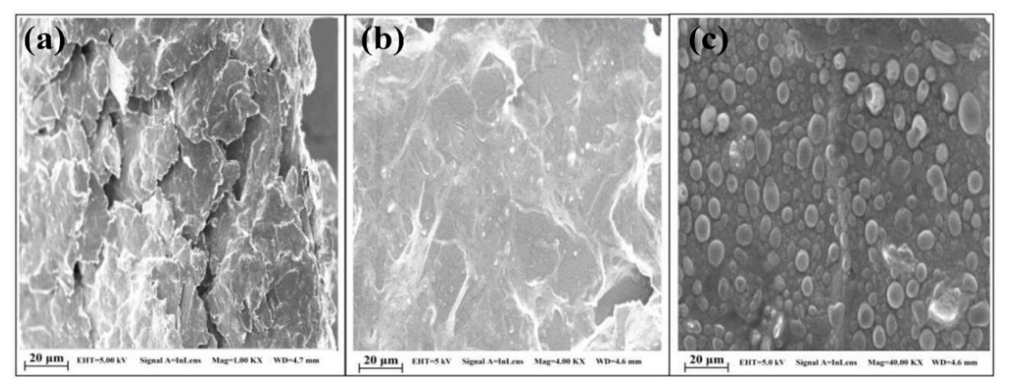 Nanomaterials 11 00252 g019