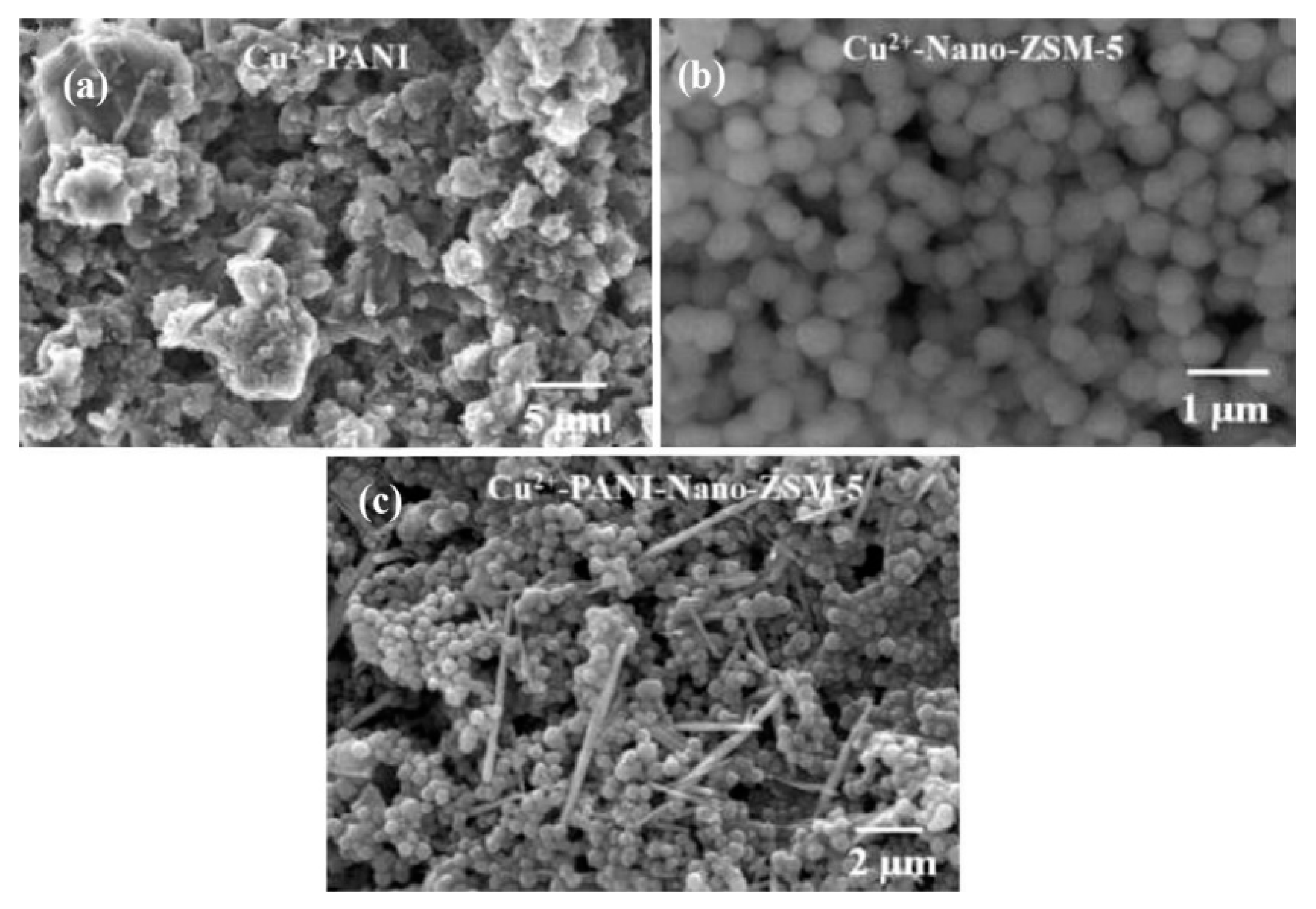 Nanomaterials 11 00252 g022