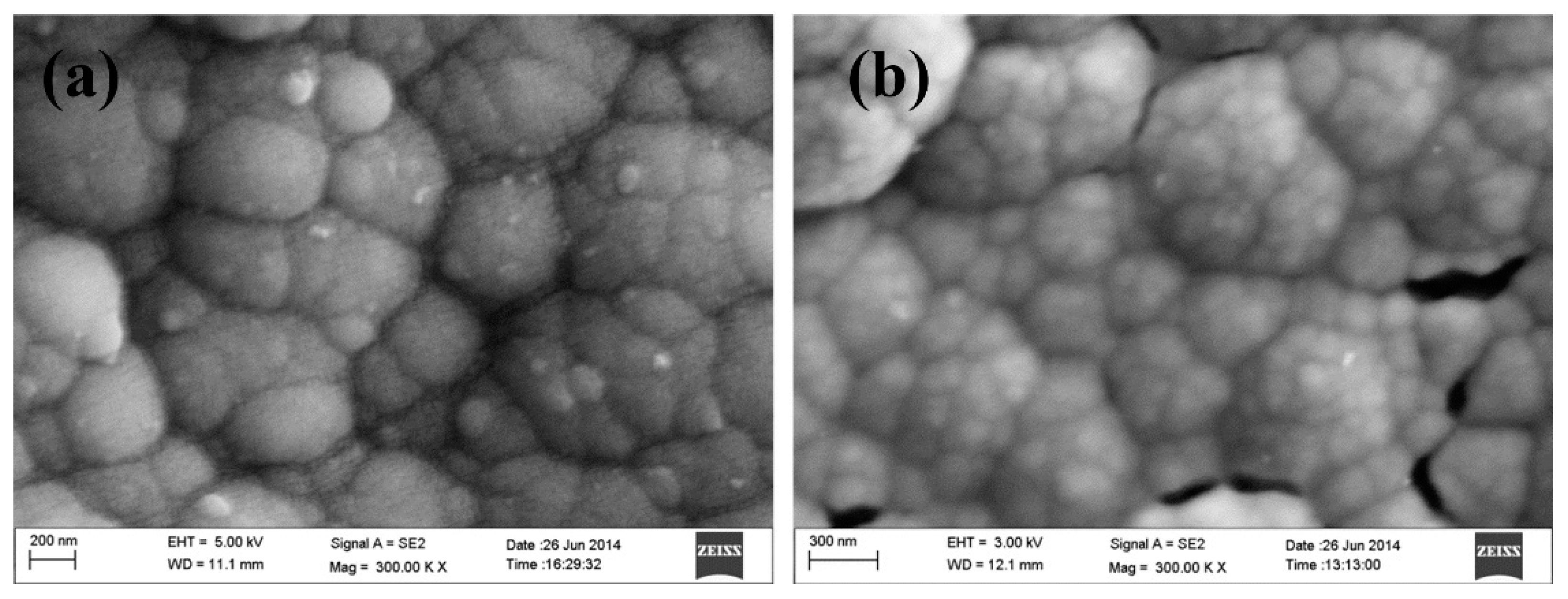 Nanomaterials 11 00252 g026