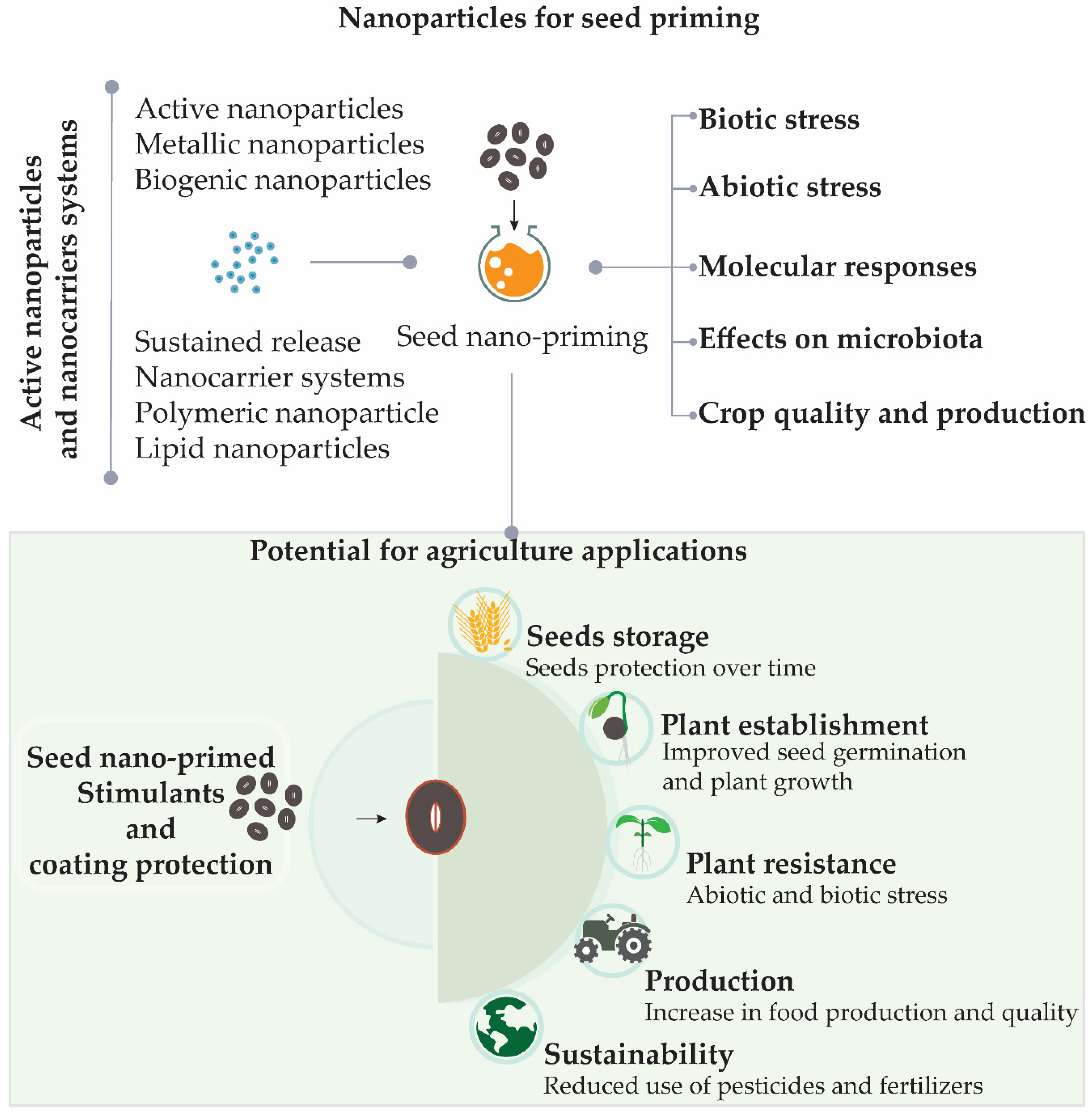 Nanomaterials Free Full Text Nanotechnology Potential In Seed Priming For Sustainable Agriculture Html