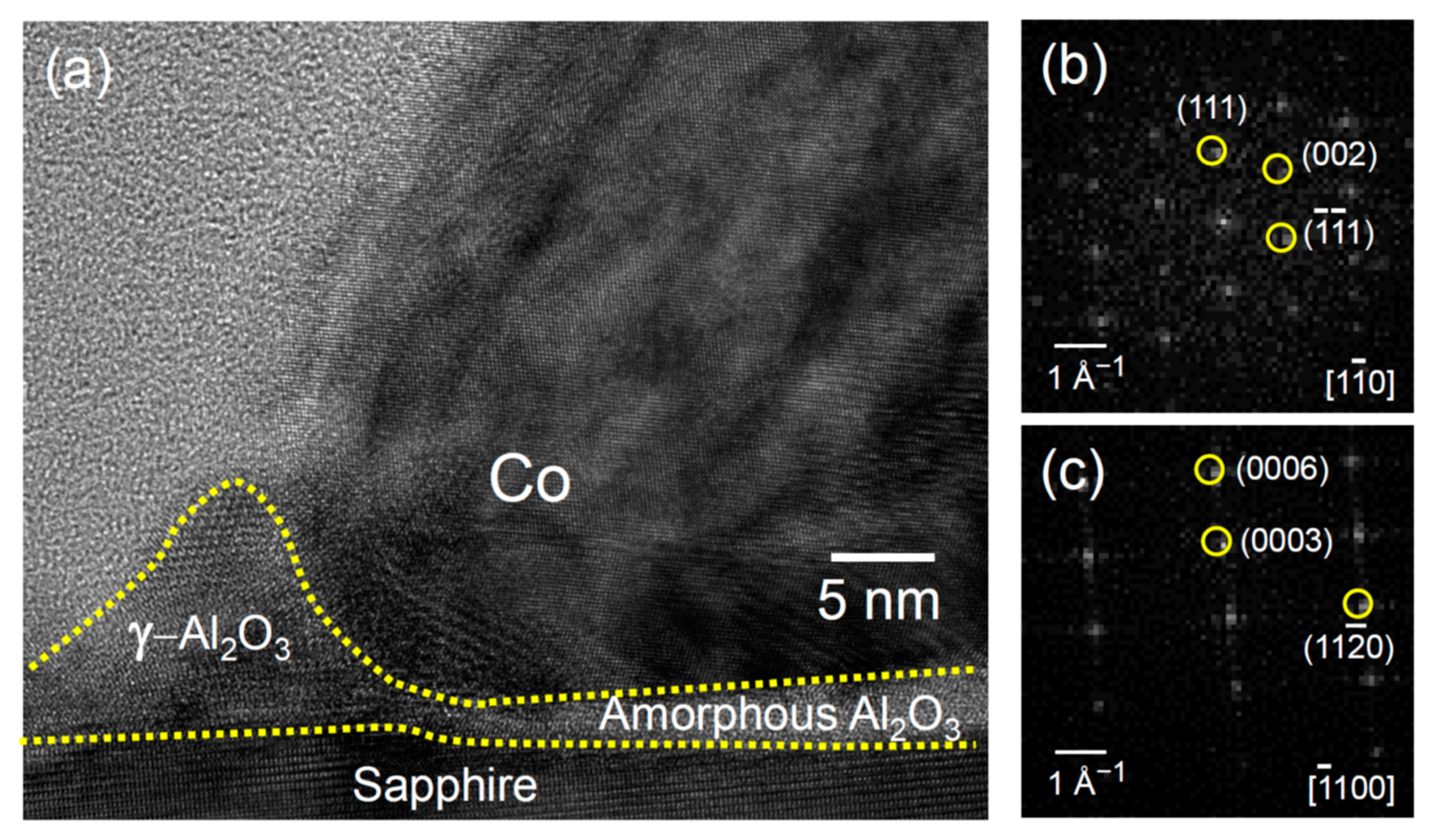 Nanomaterials 11 00268 g004