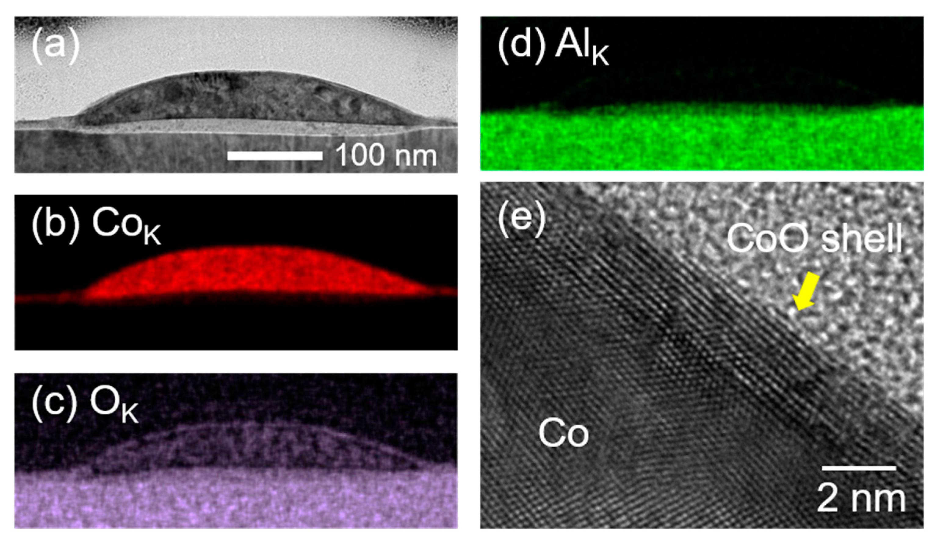 Nanomaterials 11 00268 g005