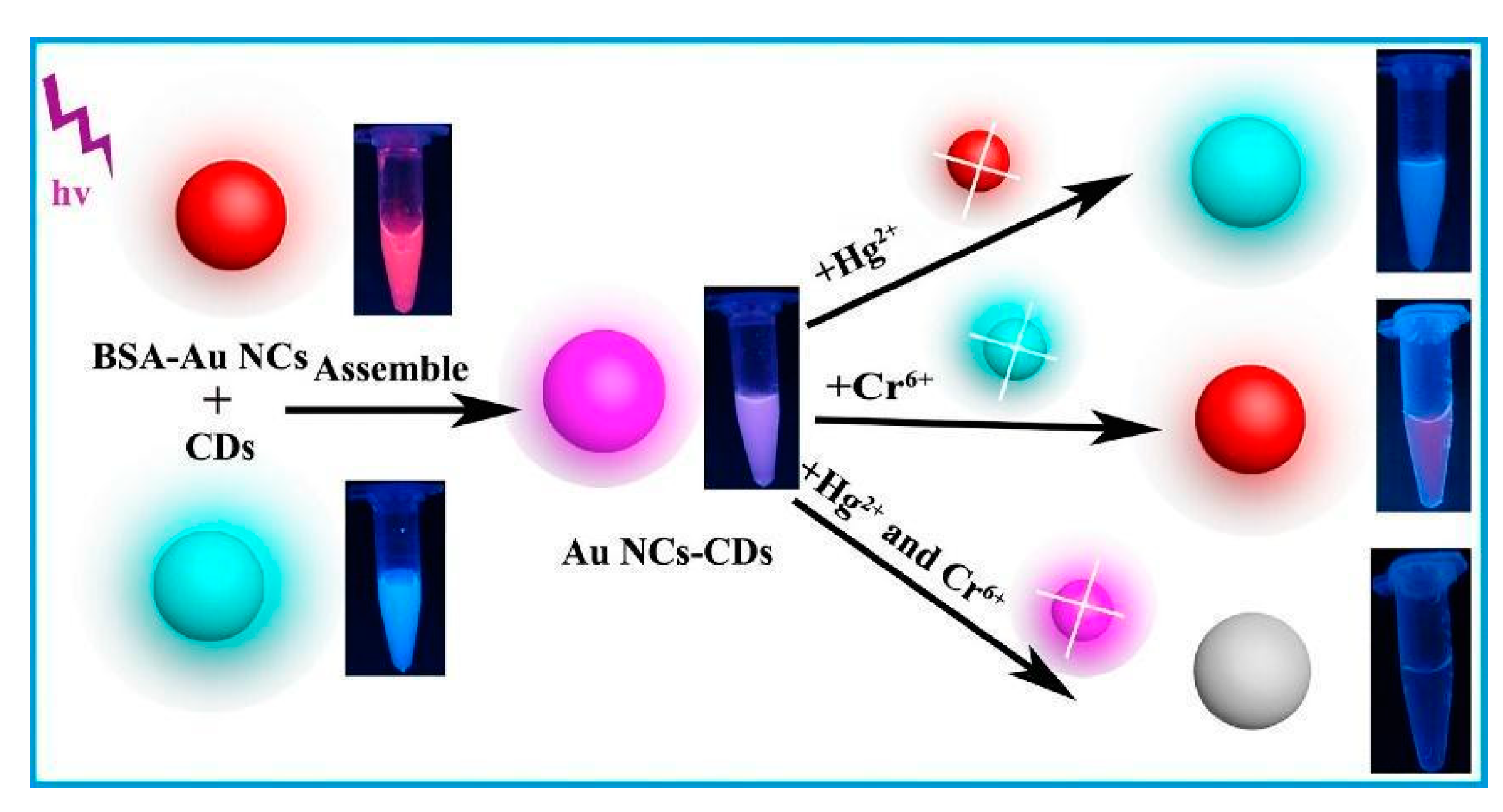 Nanomaterials 11 00276 g002