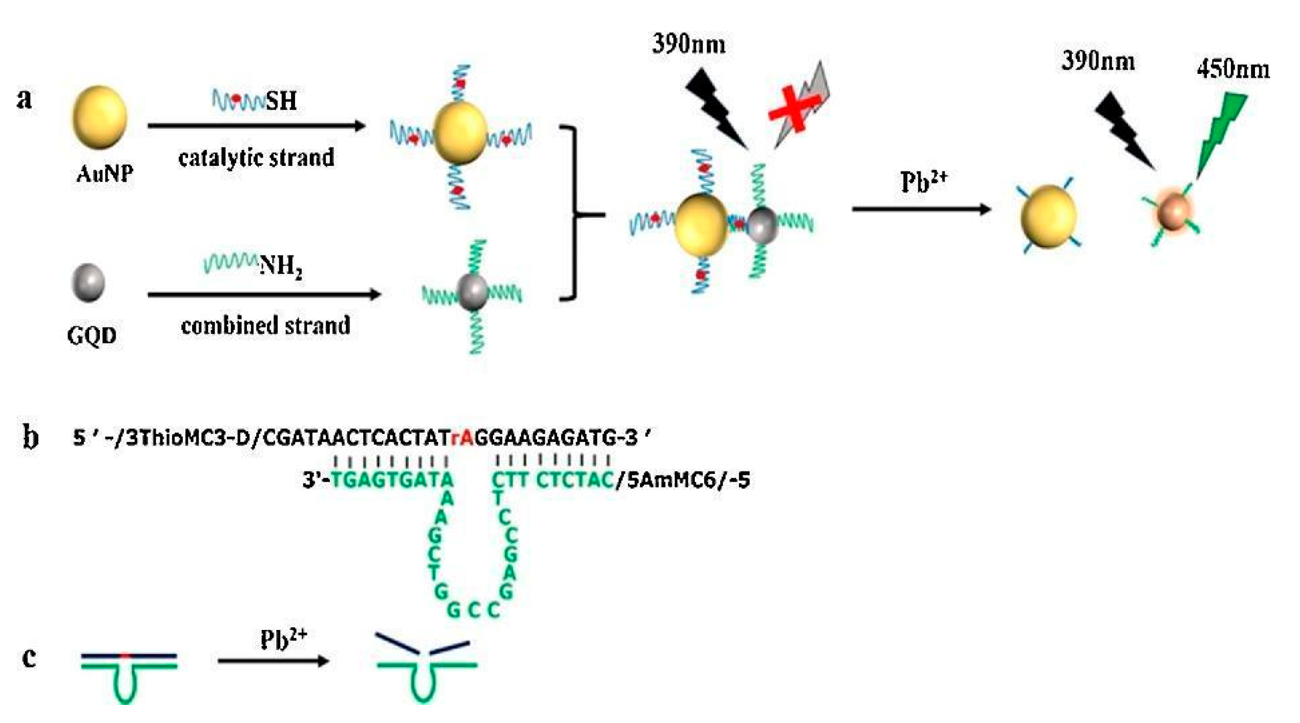 Nanomaterials 11 00276 g006