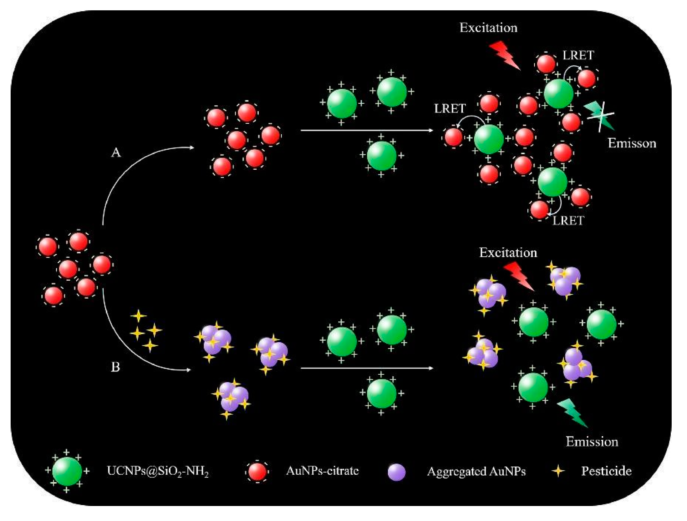 Nanomaterials 11 00276 g007